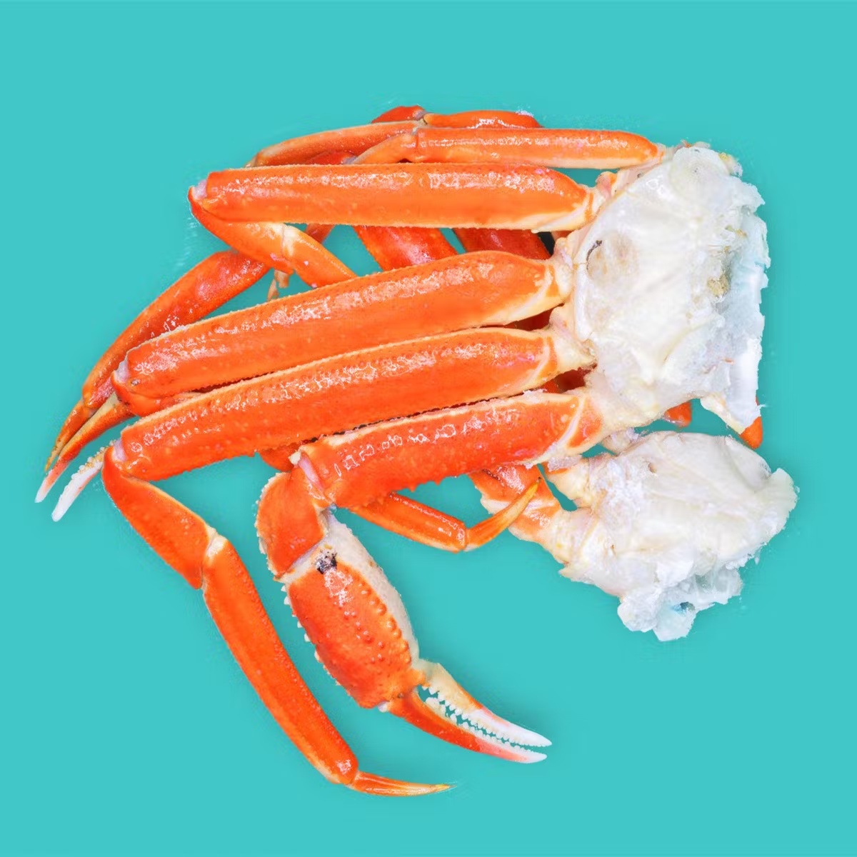 25547-chef-s-favorite-shellfish-box-1.jpg