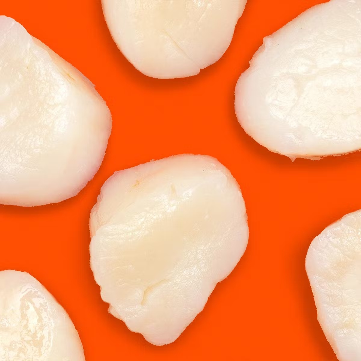 10/20 Dry Scallops - 1/2 lb.
