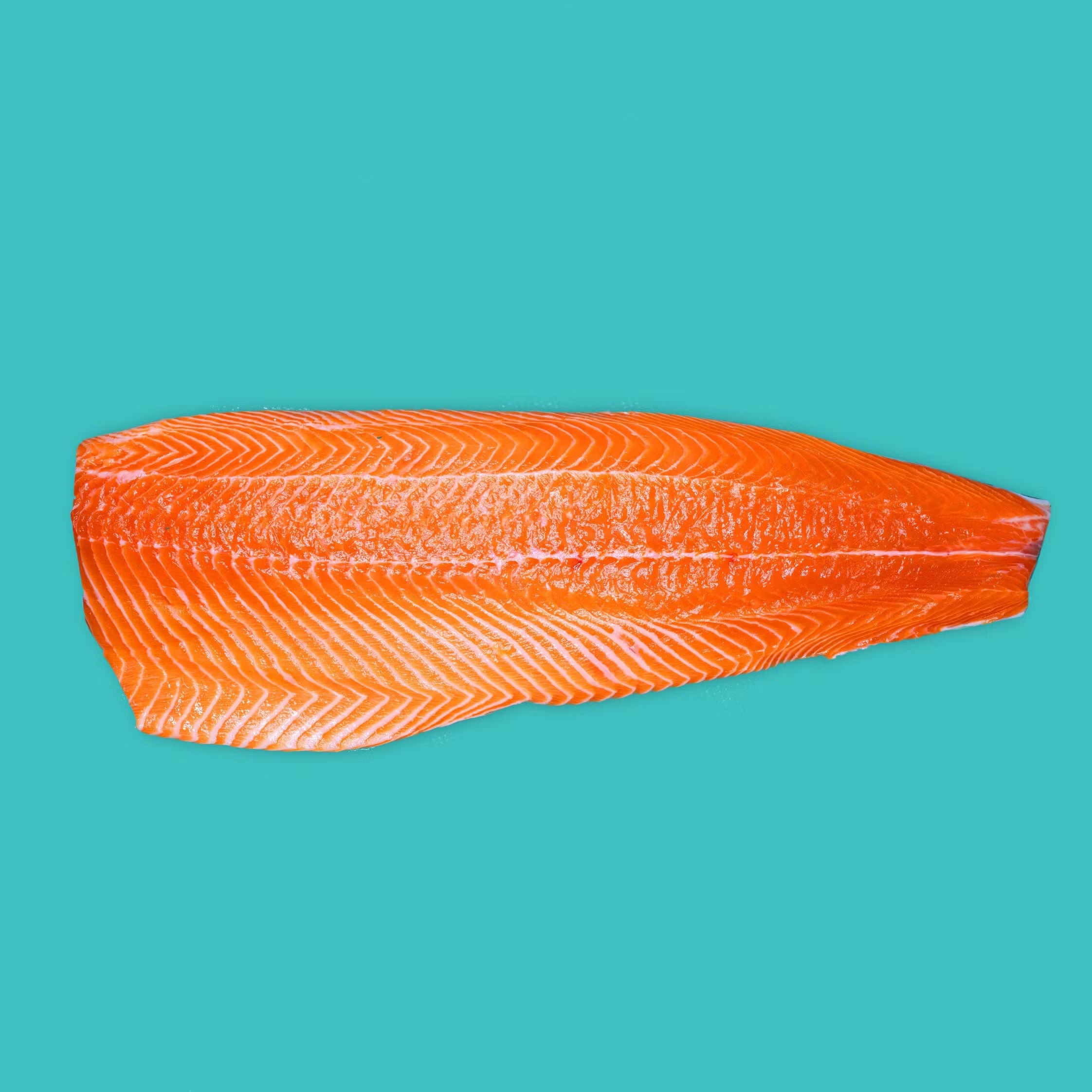 Atlantic Salmon Fillet