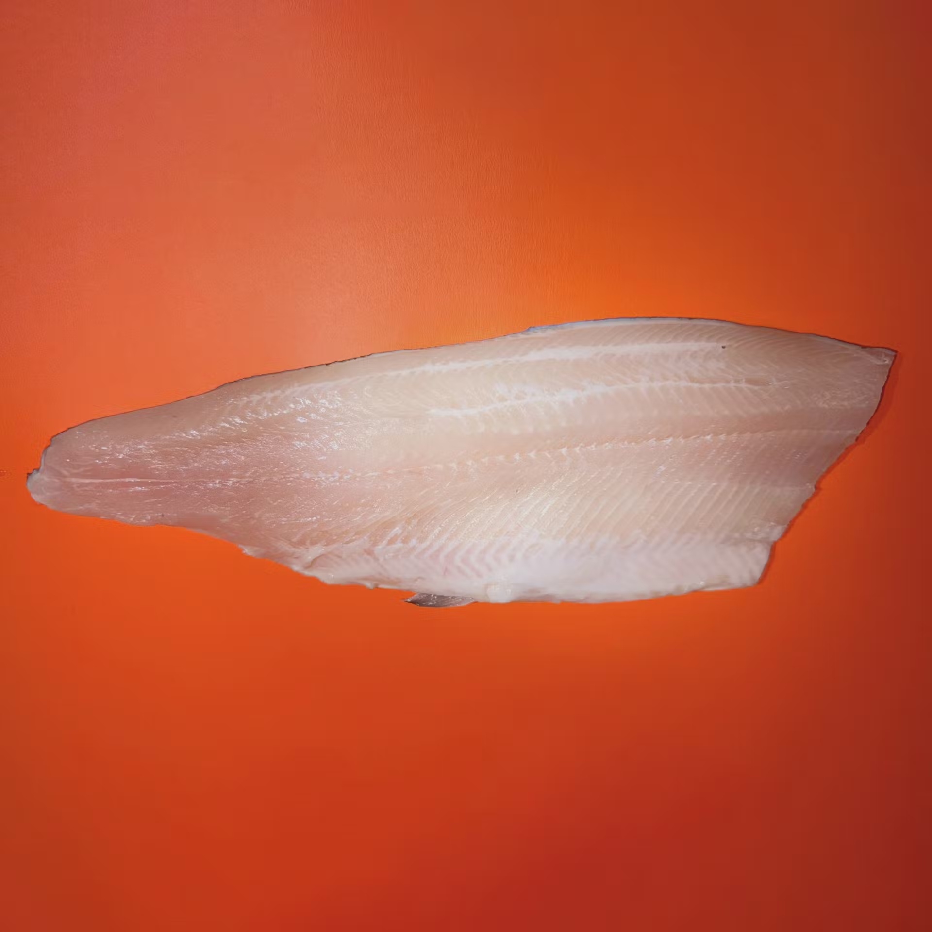 Trout Fillet - 2 Pack
