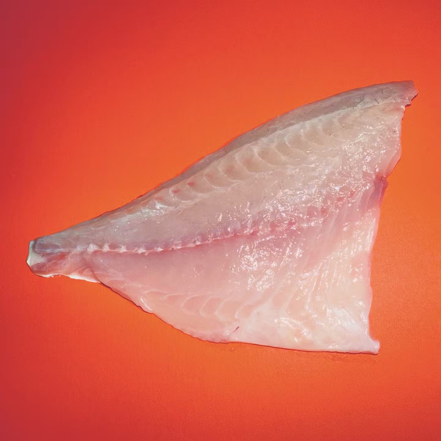 Dorade Fillet - 2 Pack
