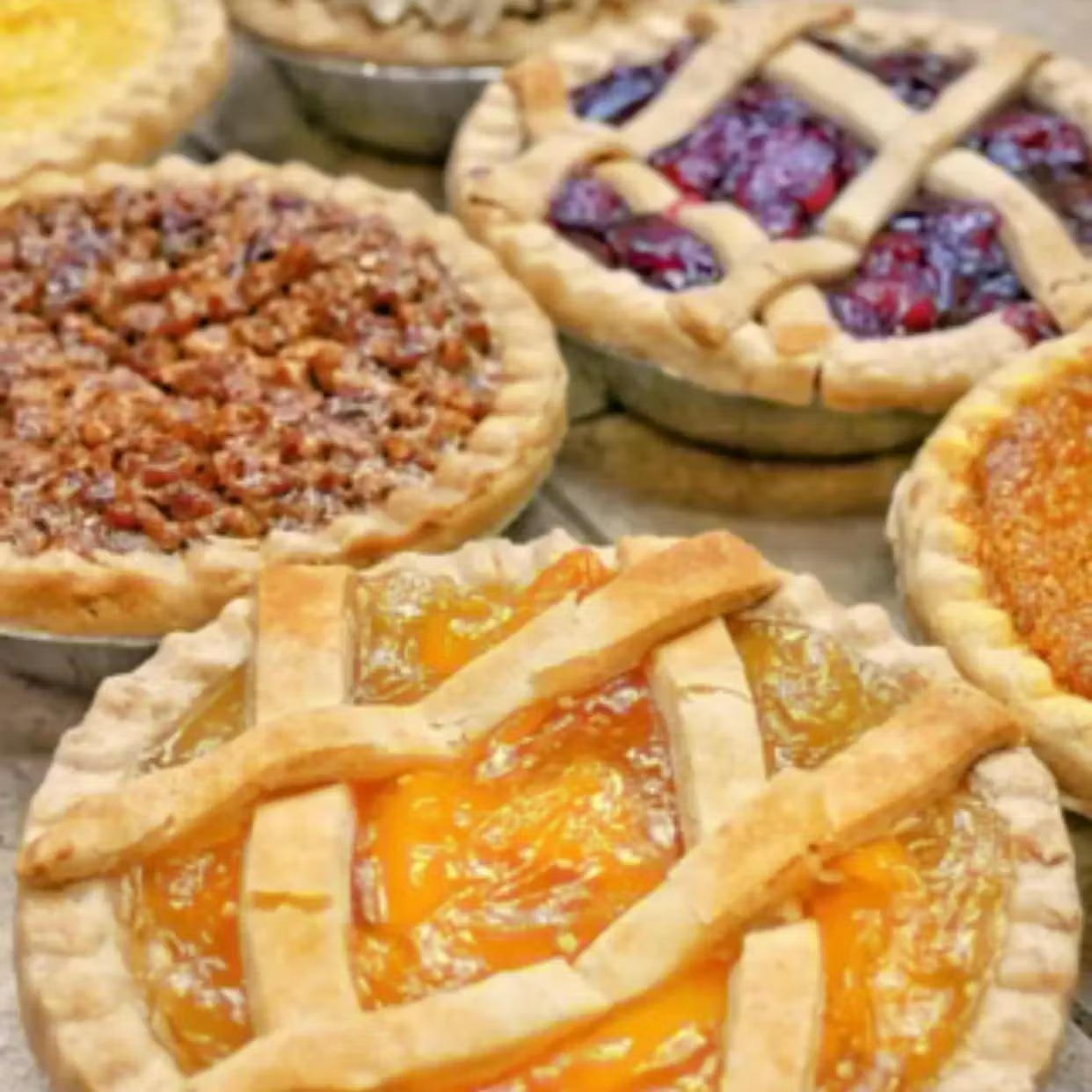 Mini Pies - Choose Your Own 8 Pack