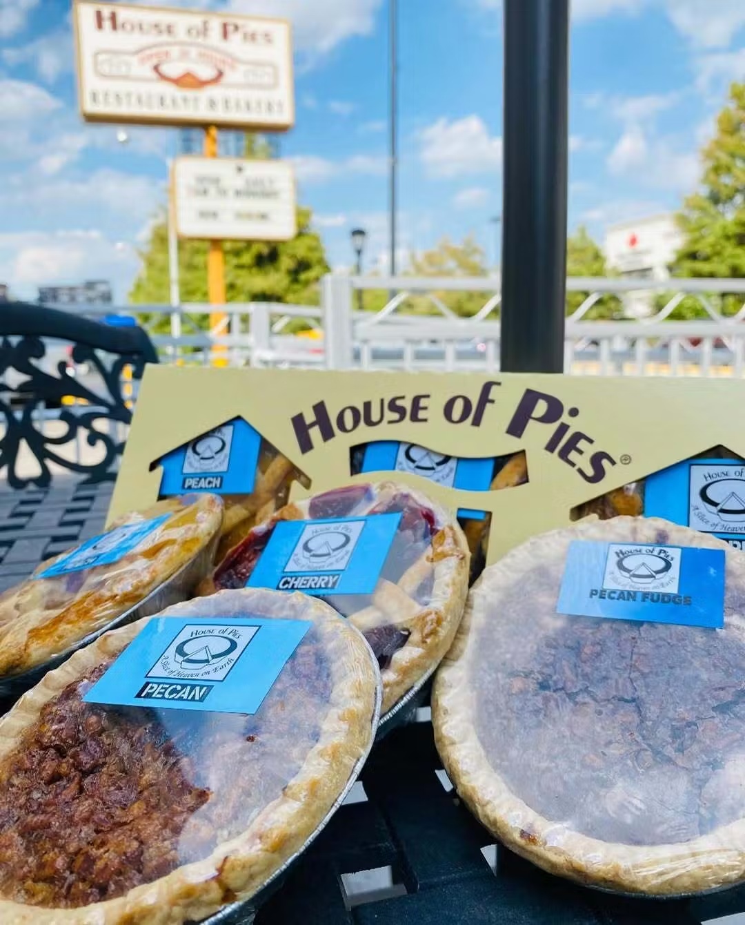 25577-mini-pies-choose-your-own-12-pack-1.jpg