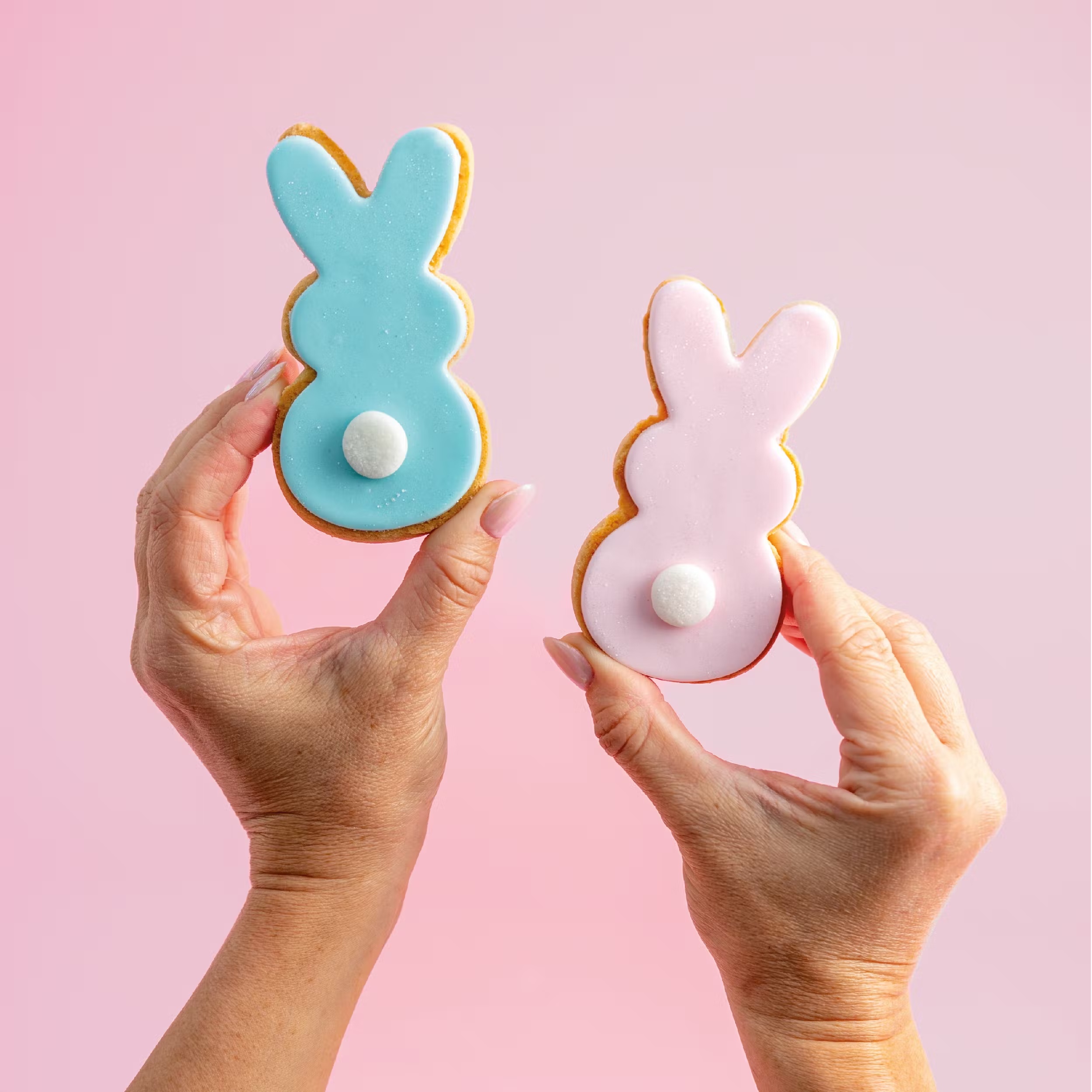 Easter Bunny Sugar Cookies