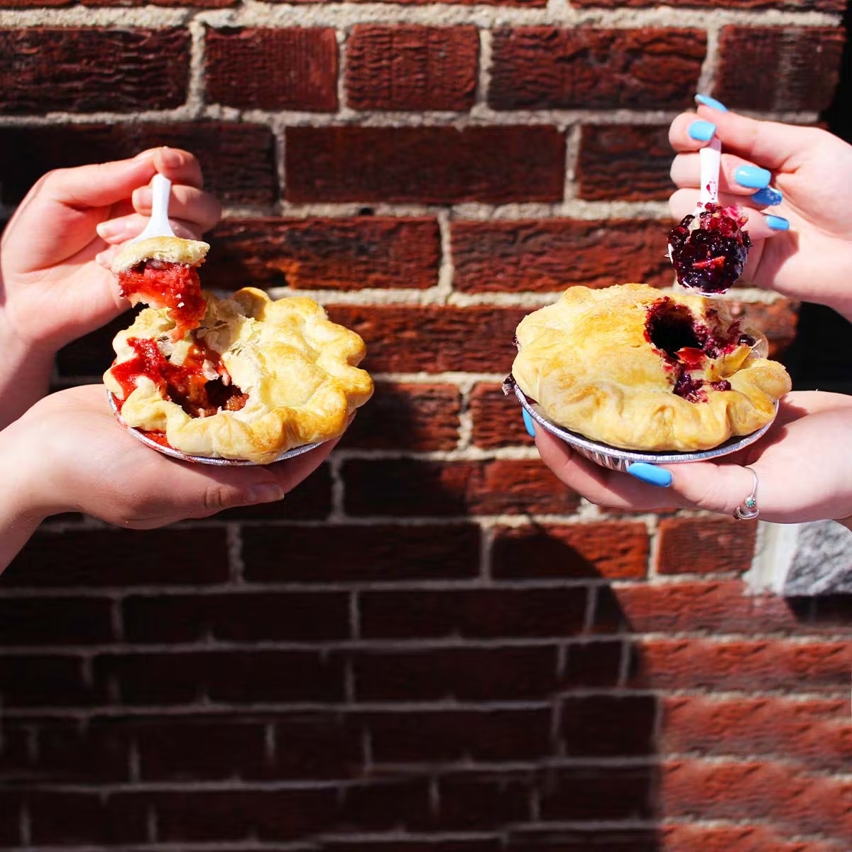 Mini Pie Sampler - 4 Pack