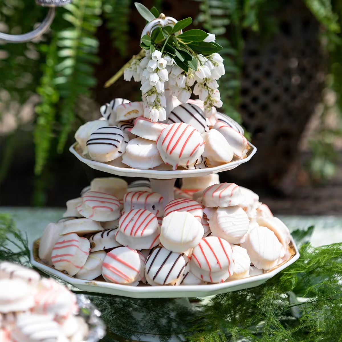 Assorted Cake Bites - 48 Pack