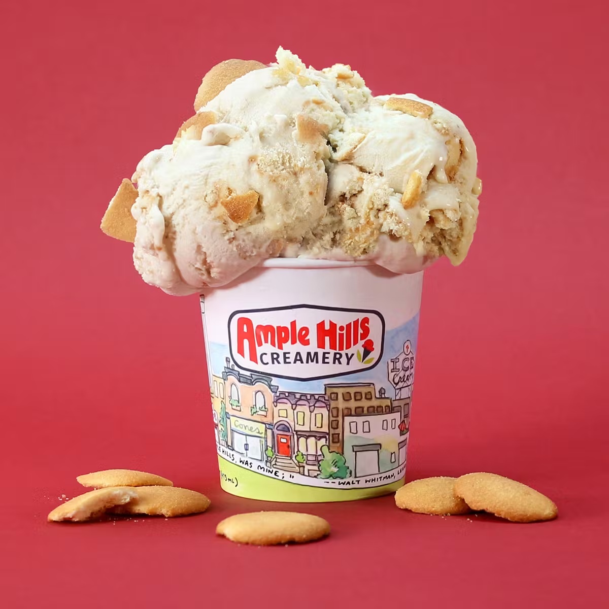 2797-ice-cream-choose-your-own-4-pints-1.jpg