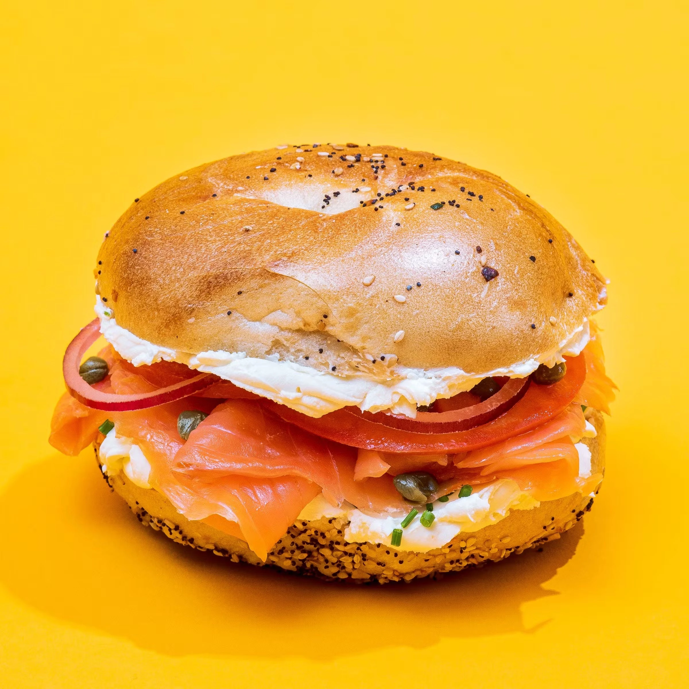 New York Bagel Brunch for 12 + 8 FREE Bagels