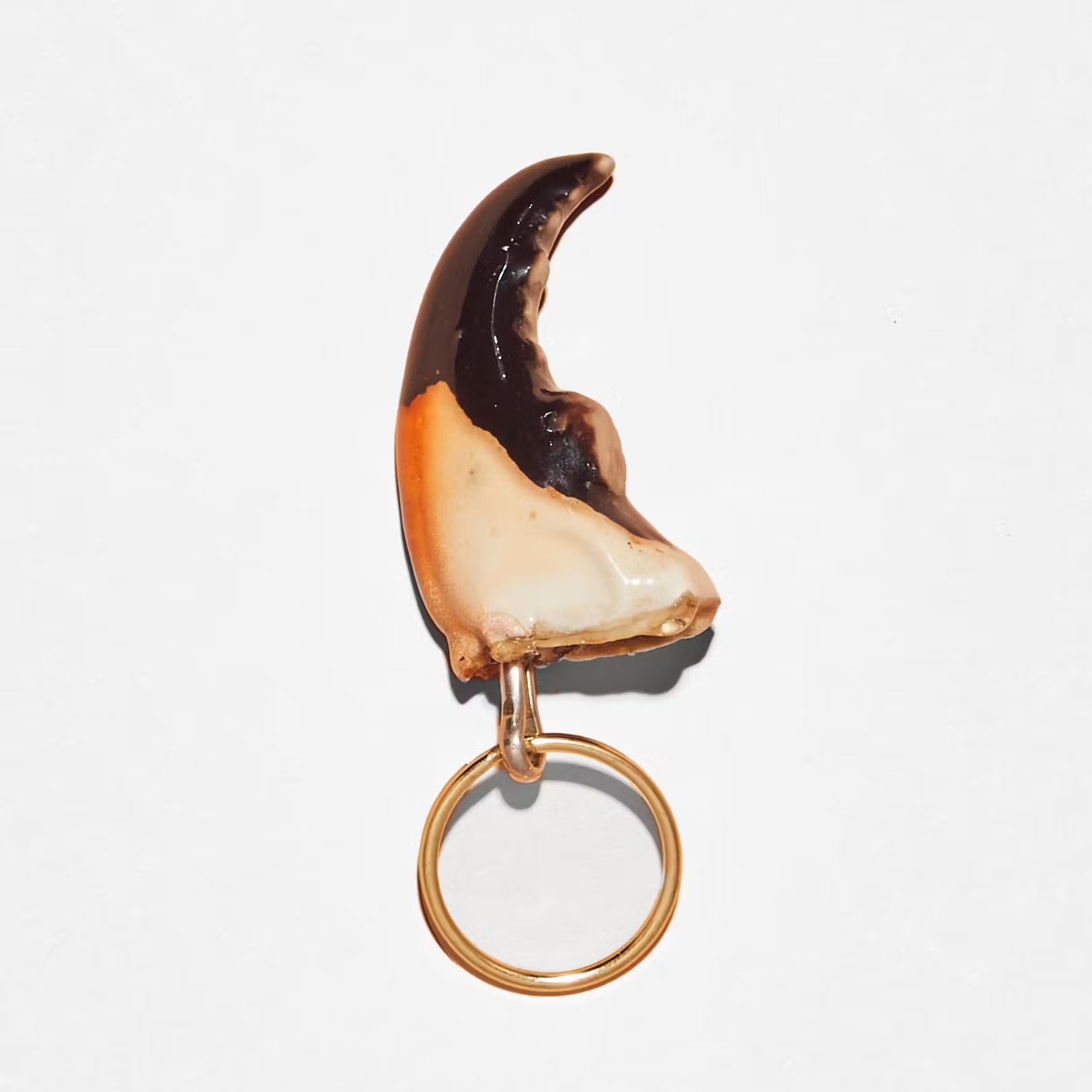 Stone Crab Claw Key Chain