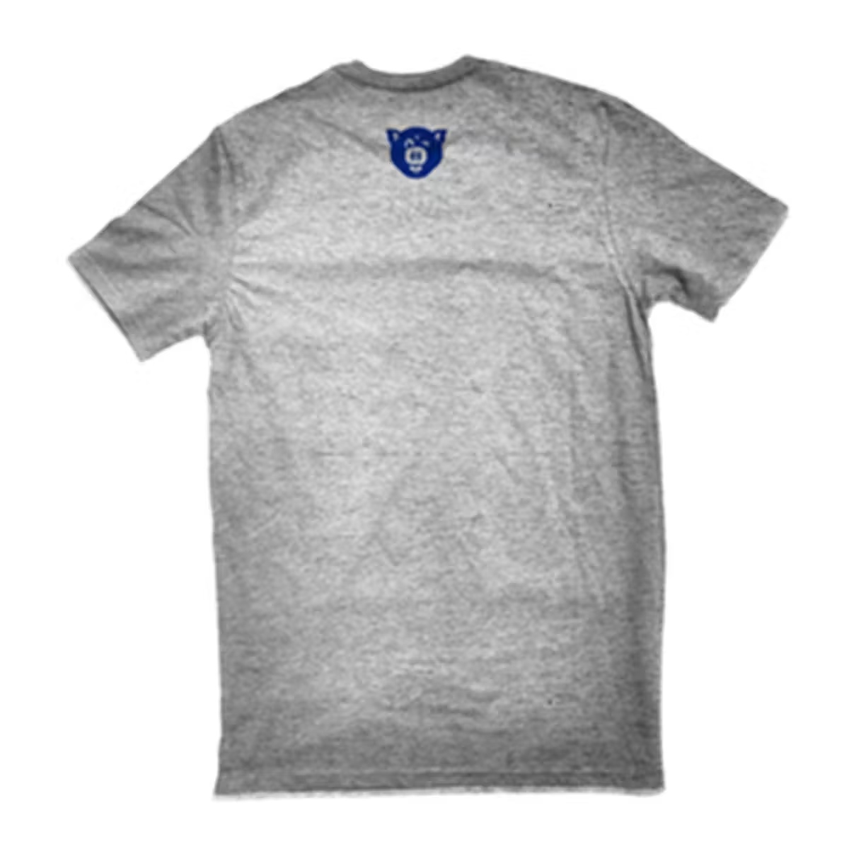 Central BBQ Logo T-Shirt