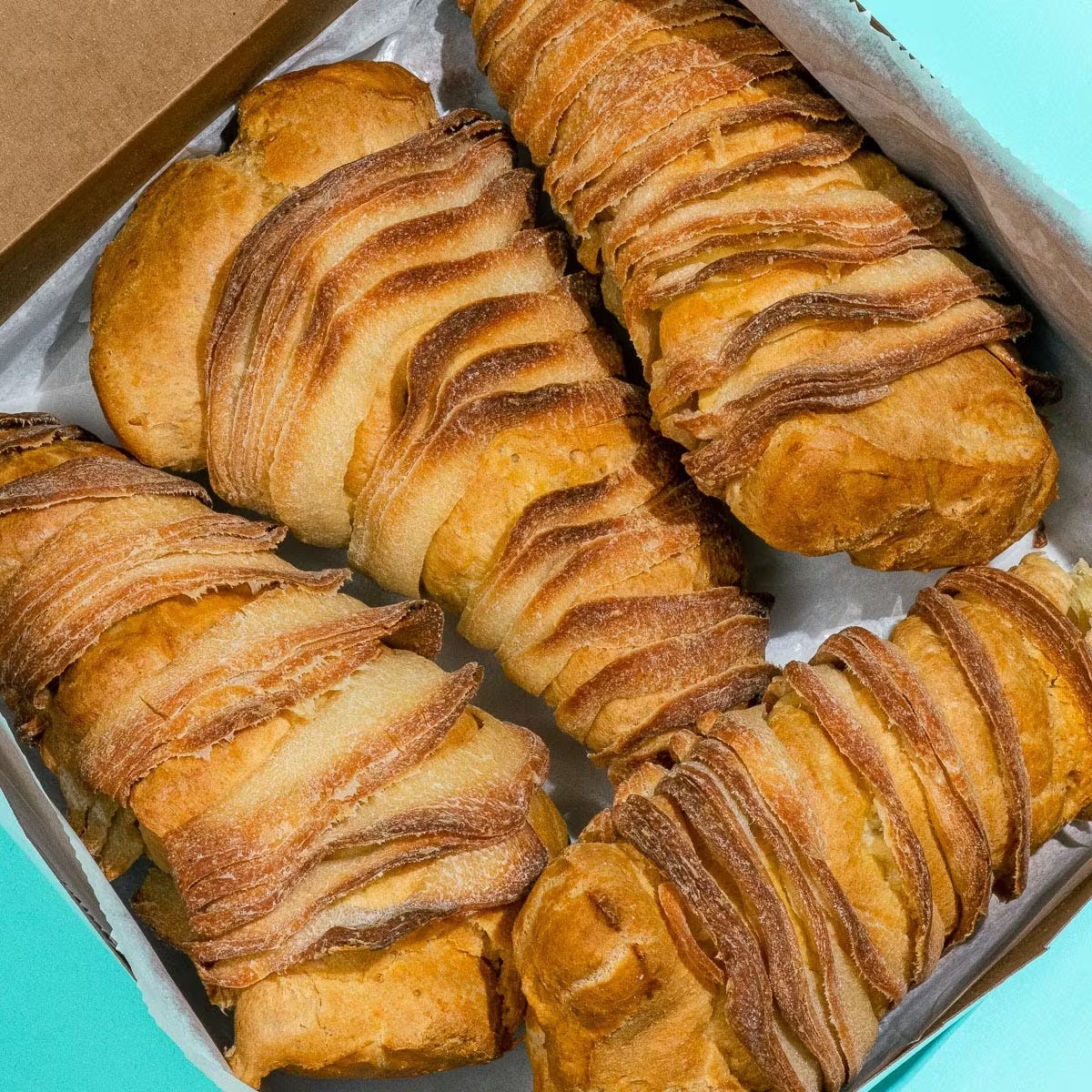 Lobster Tail Kit