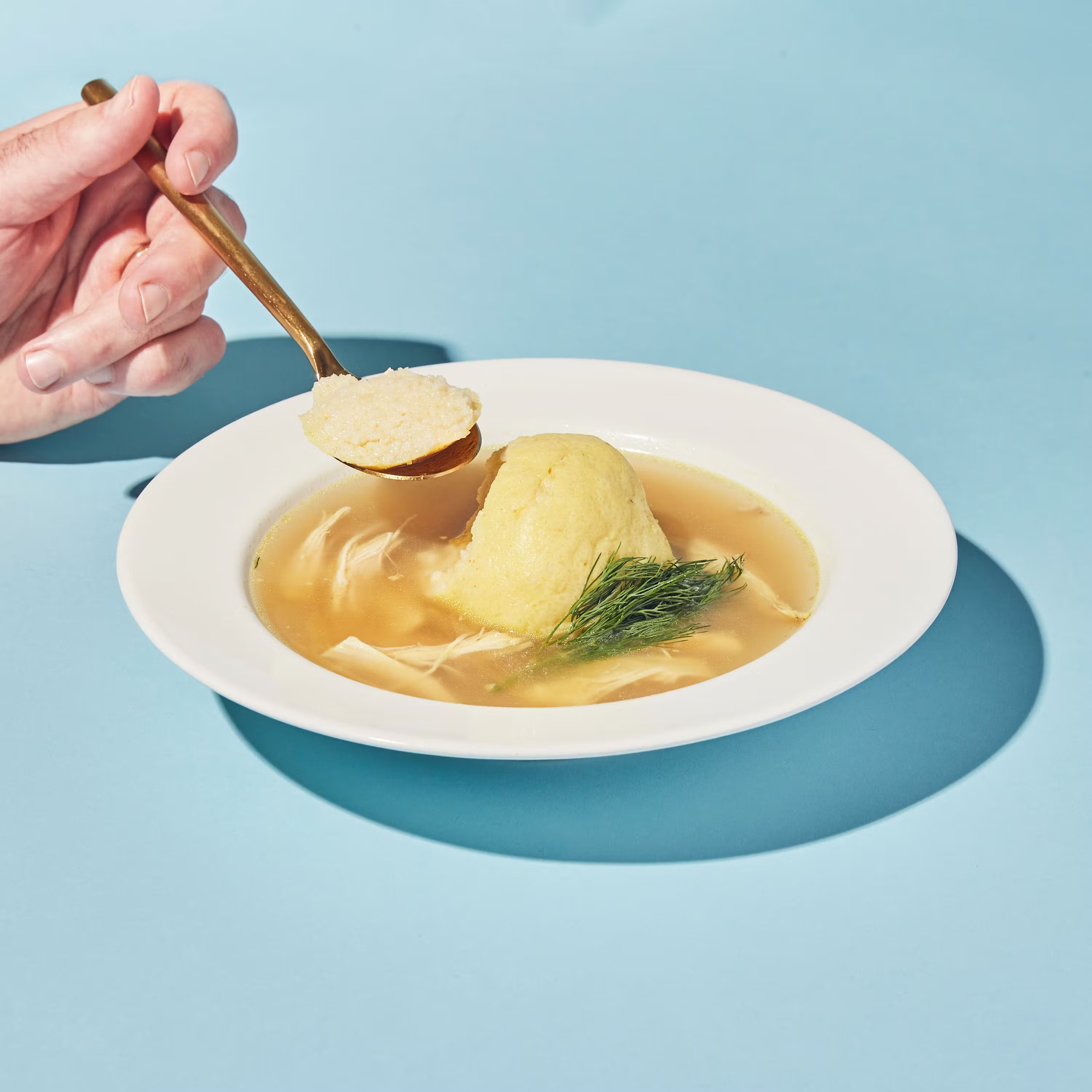 Matzah Ball Soup