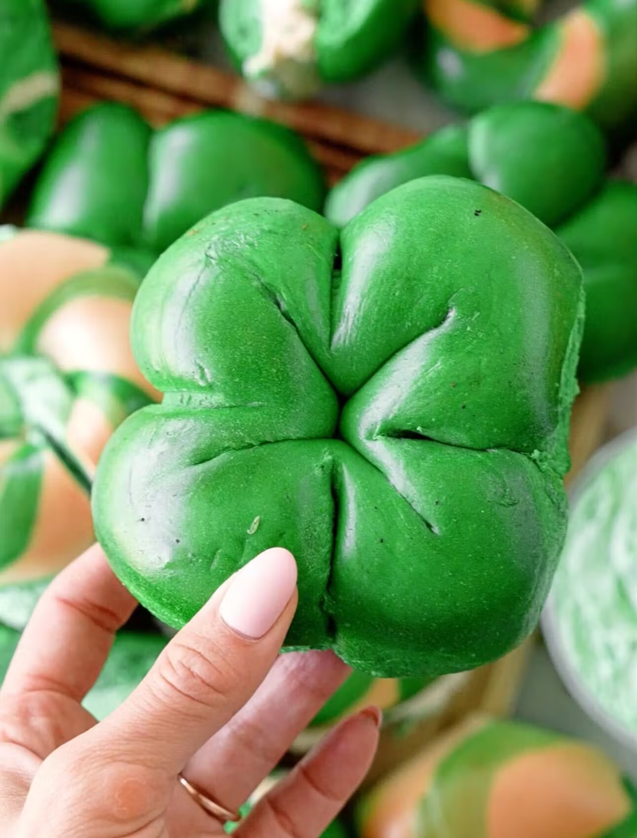 4 Leaf Clover Bagel Dozen