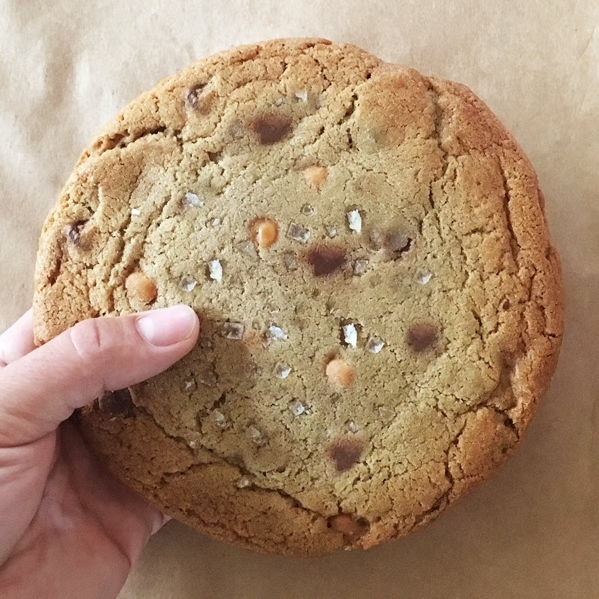 4100-giant-cookies-choose-your-own-5-pack-1.jpg