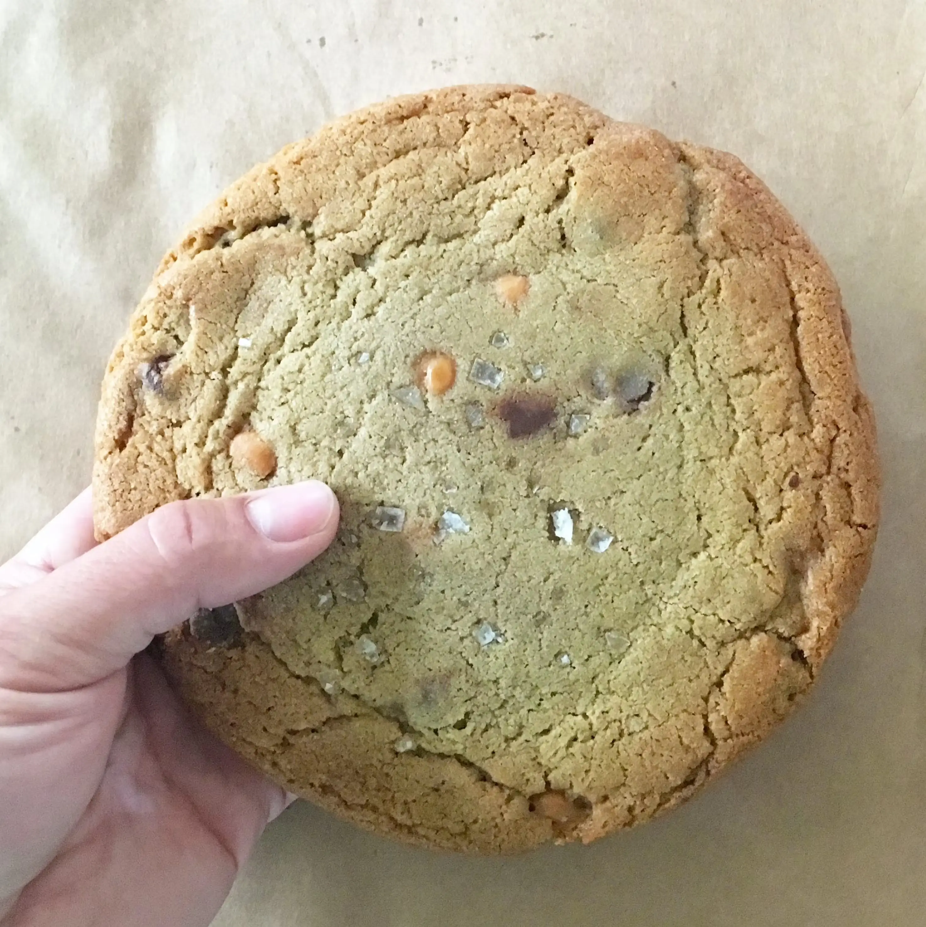4100-giant-cookies-choose-your-own-5-pack-1.jpg