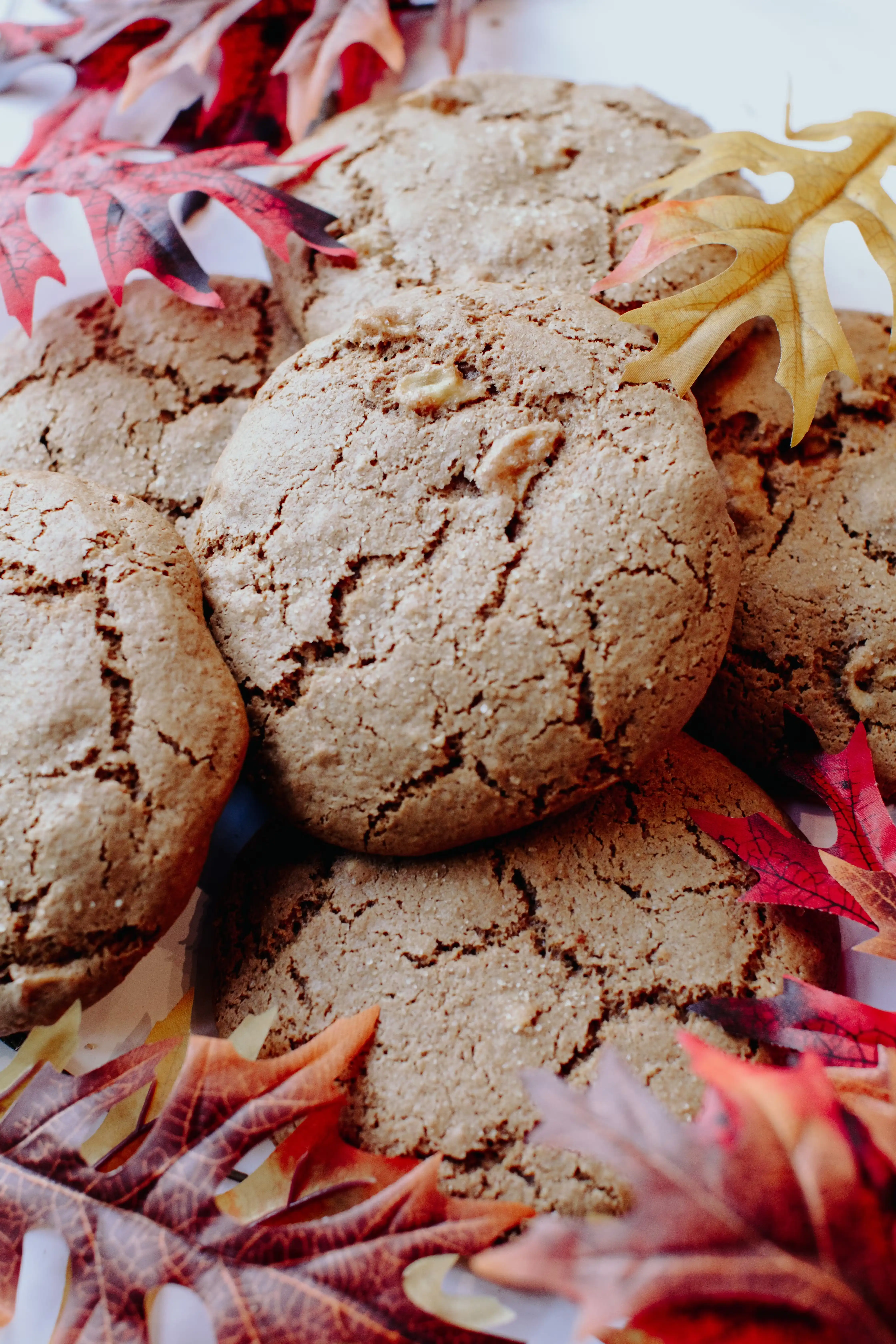 GIANT Pumpkin White Chocolate Cookies
