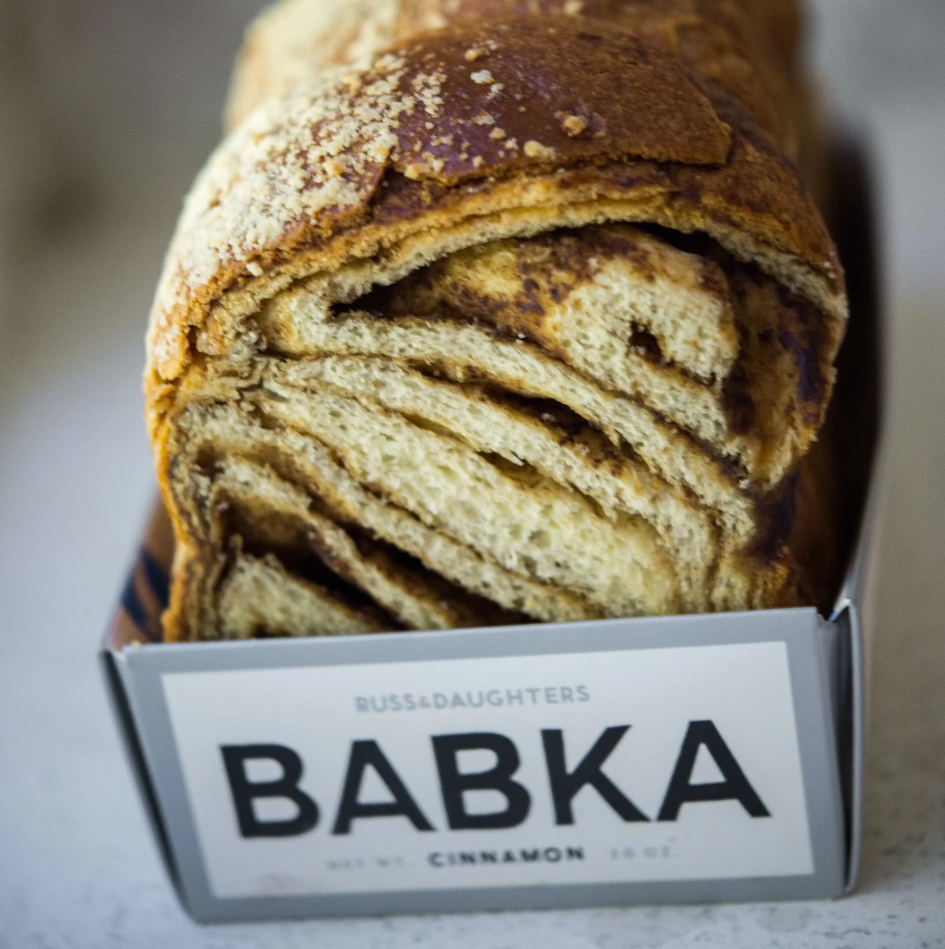 4252-cinnamon-babka-1.jpg