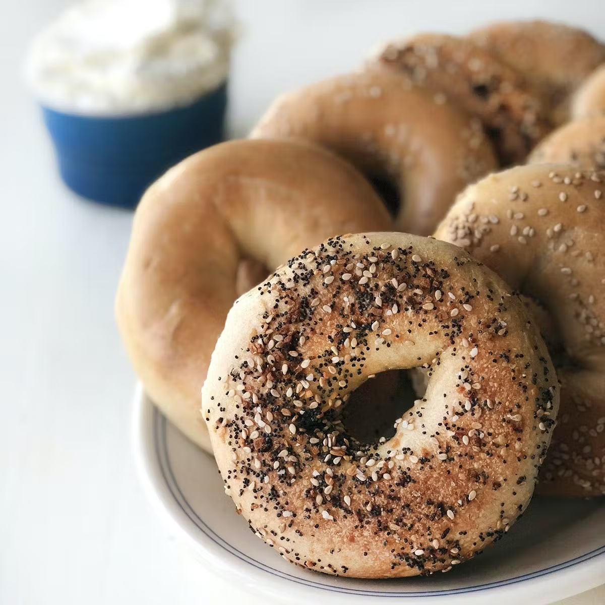 Half Dozen Bagels