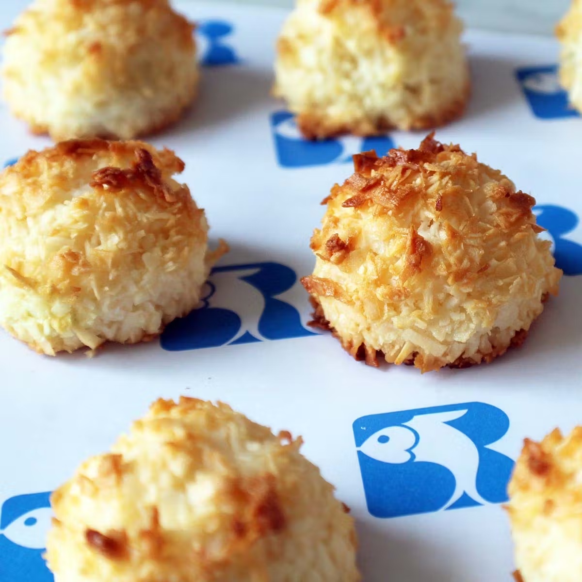 Coconut Macaroons - 8 Pack