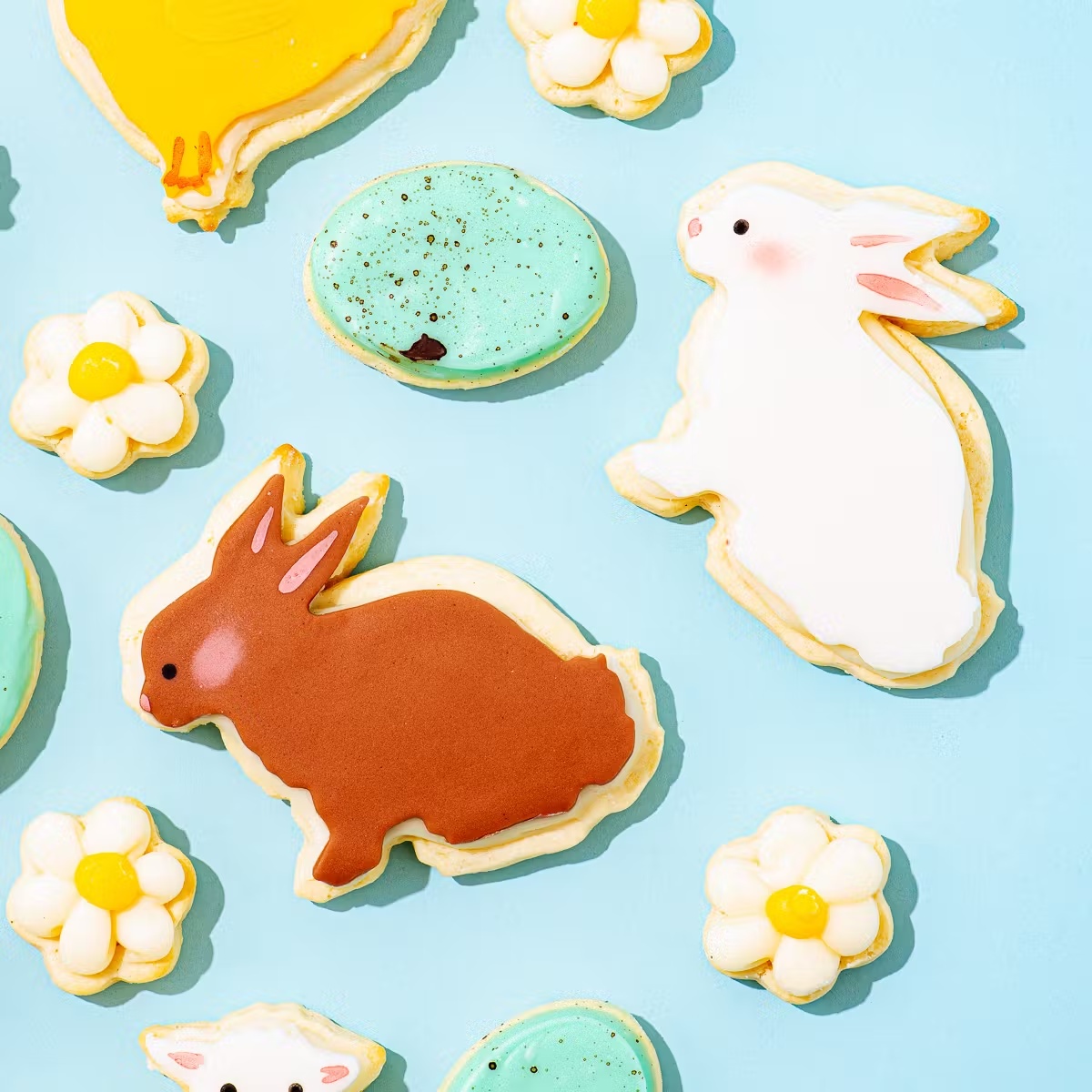453-easter-farm-sugar-cookies-22-pack-1.jpg