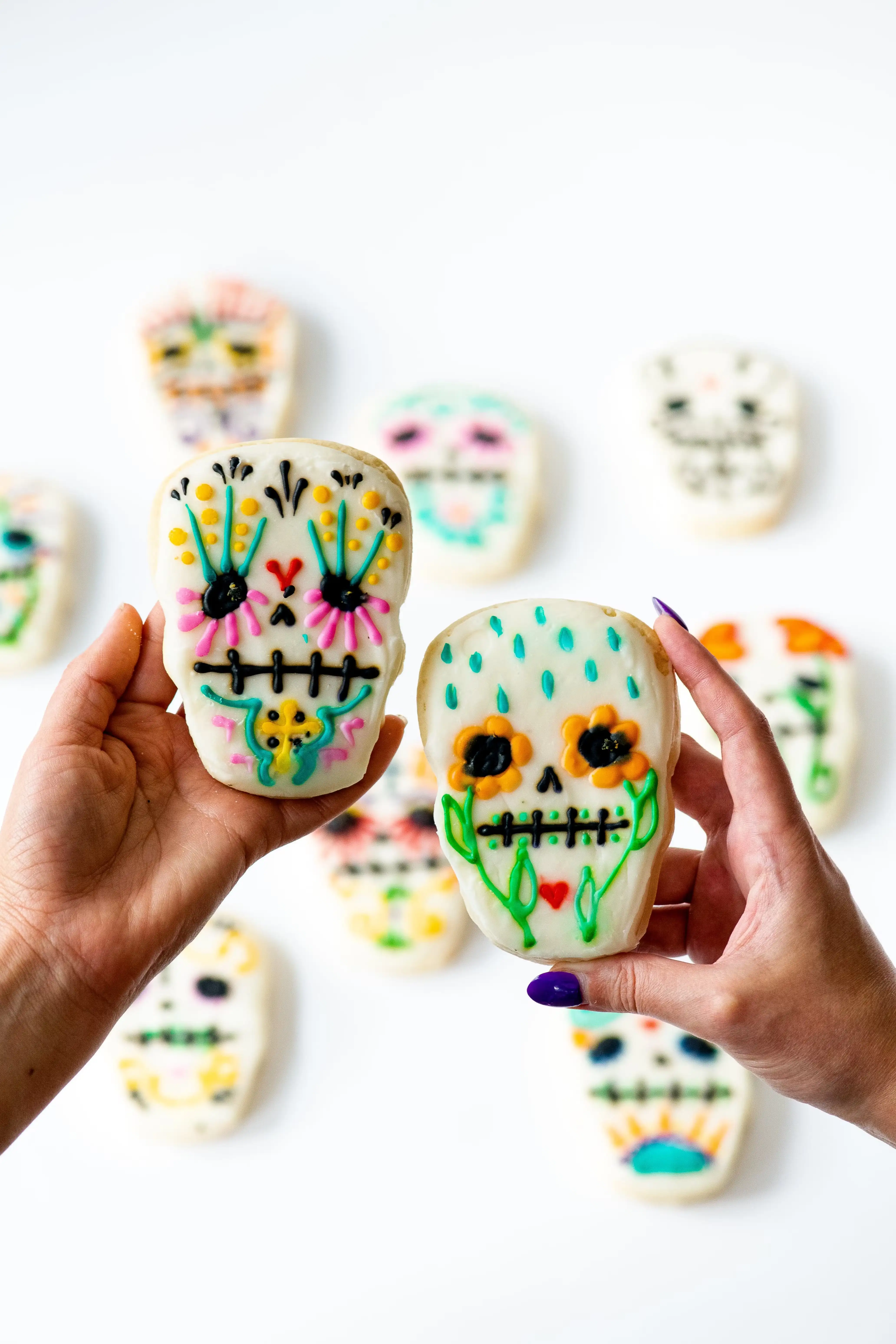 460-halloween-cookie-combo-10-pack-1.jpg