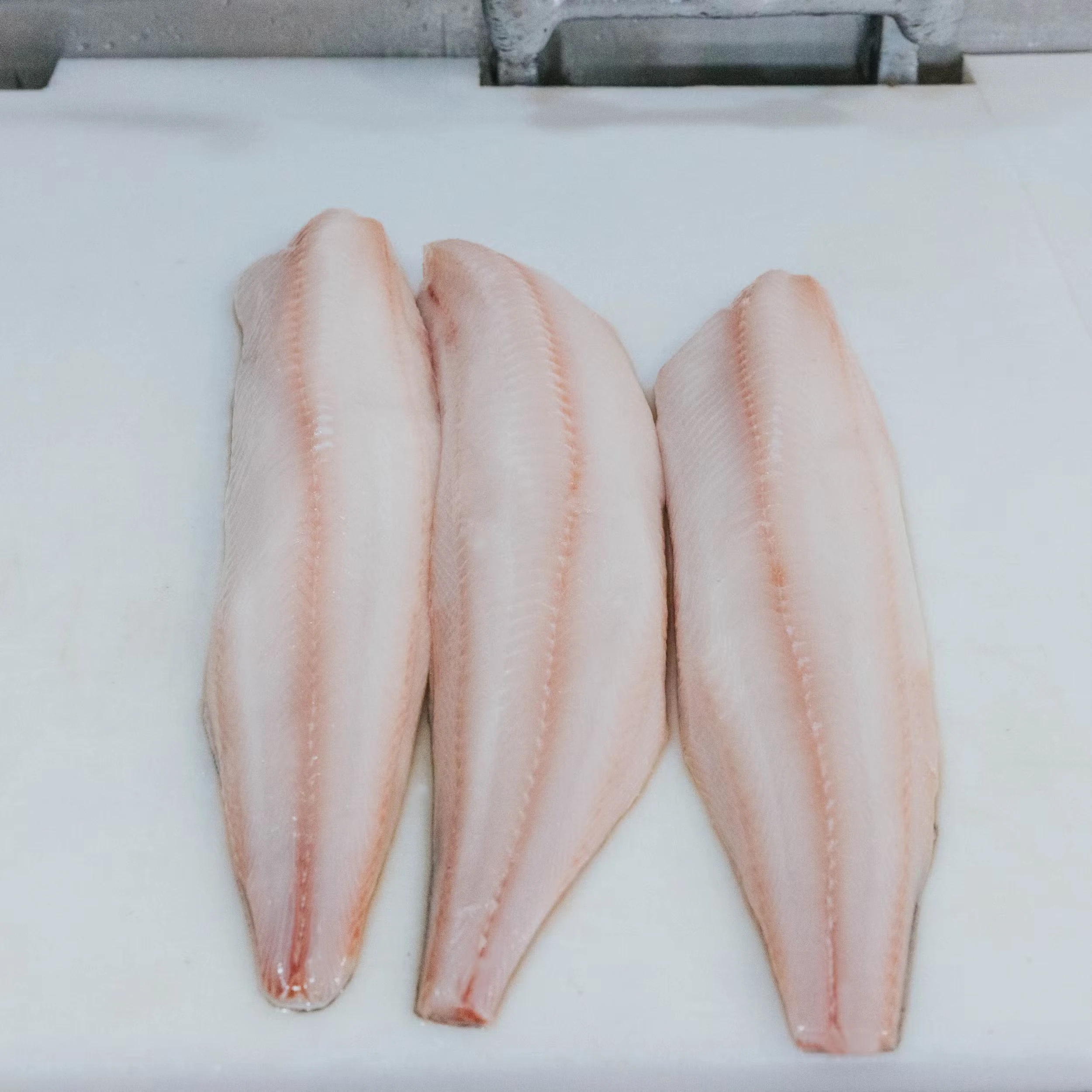 Black Cod (Sable Fish) - Fillet, Wild, USA, 1 lb