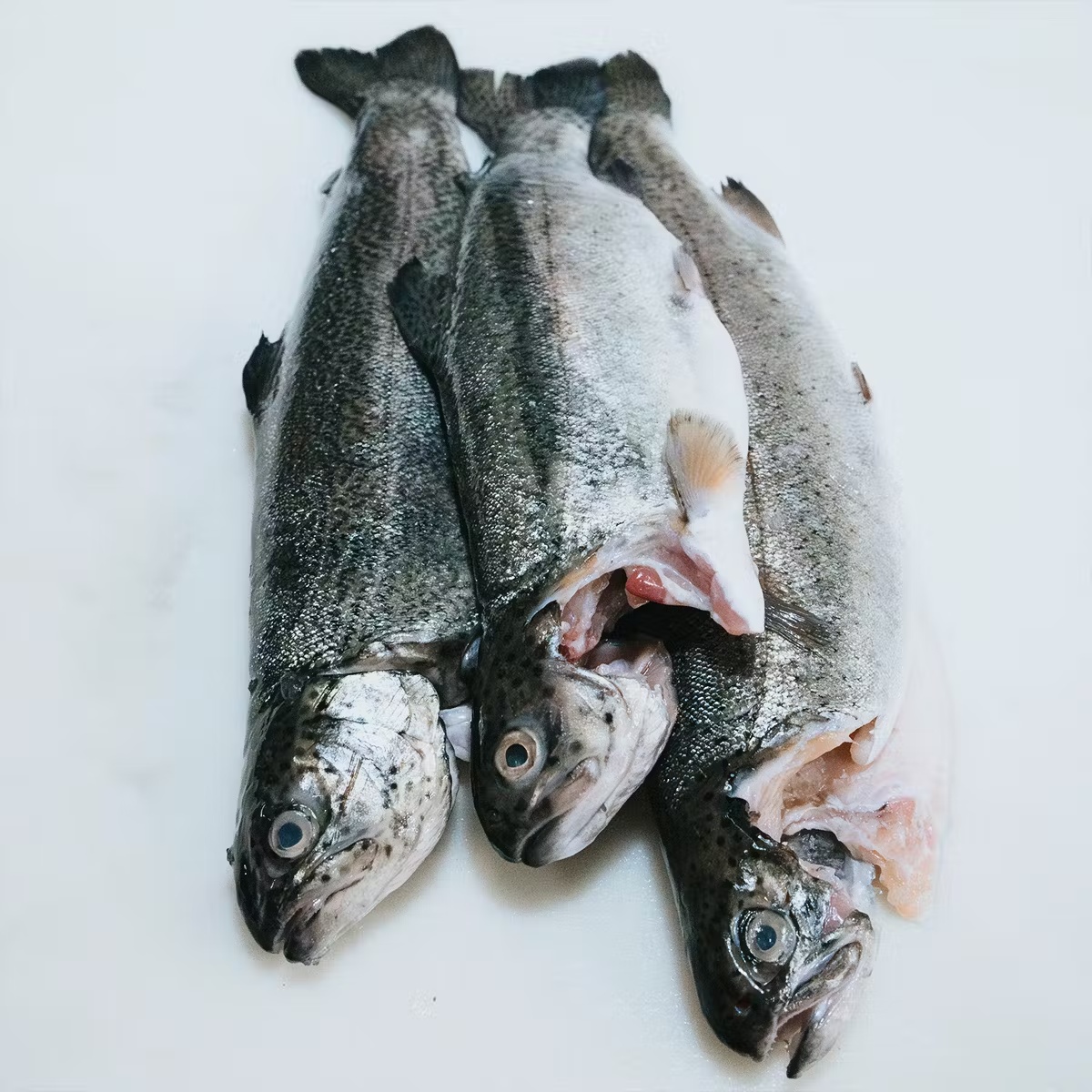 Rainbow Trout - Whole fish, Idaho, 1 lb
