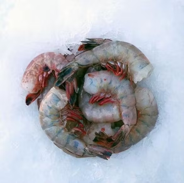 Medium Gulf Prawns - Wild, USA, 1 lb