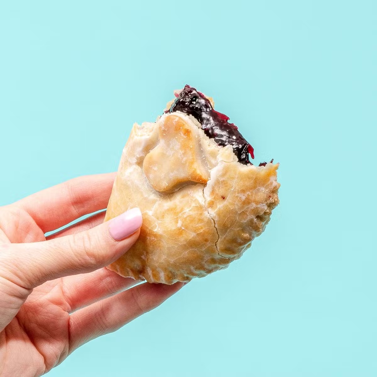 Apple + Huckleberry Hand Pies Combo Pack