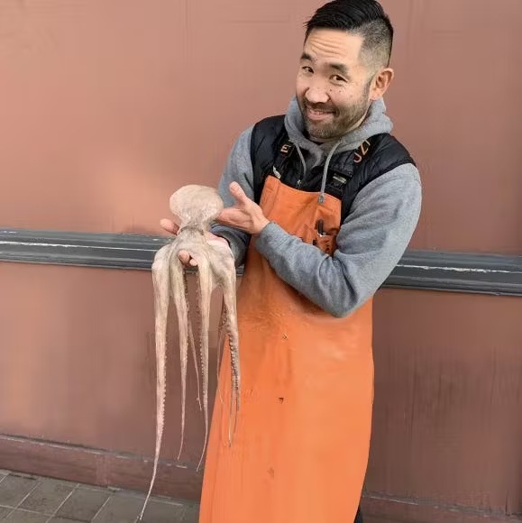 Octopus â Whole, Spain, 3 lbs.