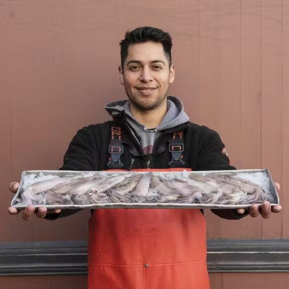 Squid - Whole, USA, 5 lbs