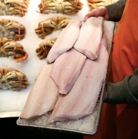 Black Cod (Sable Fish) - Whole Fish, Wild, USA, 4lbs