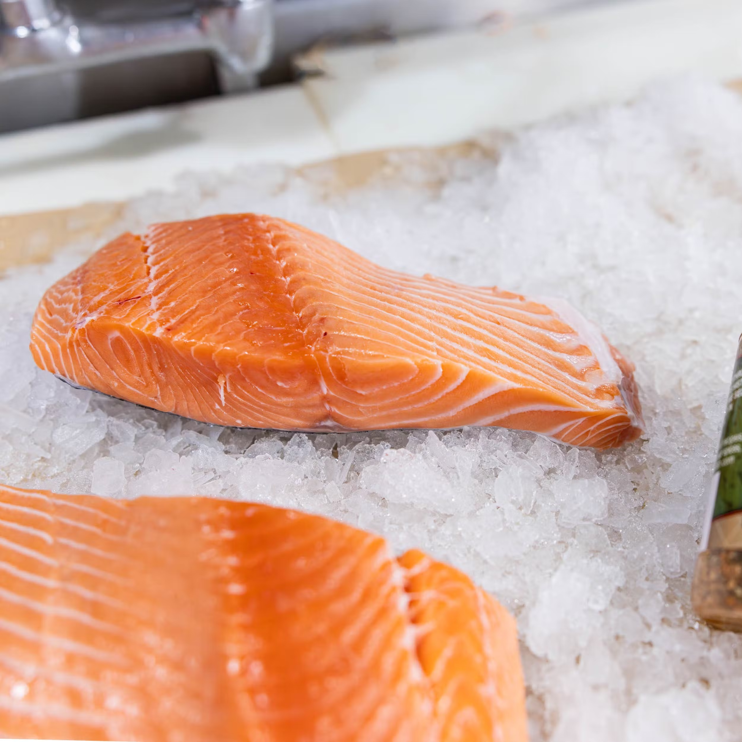 Wild King Salmon Box