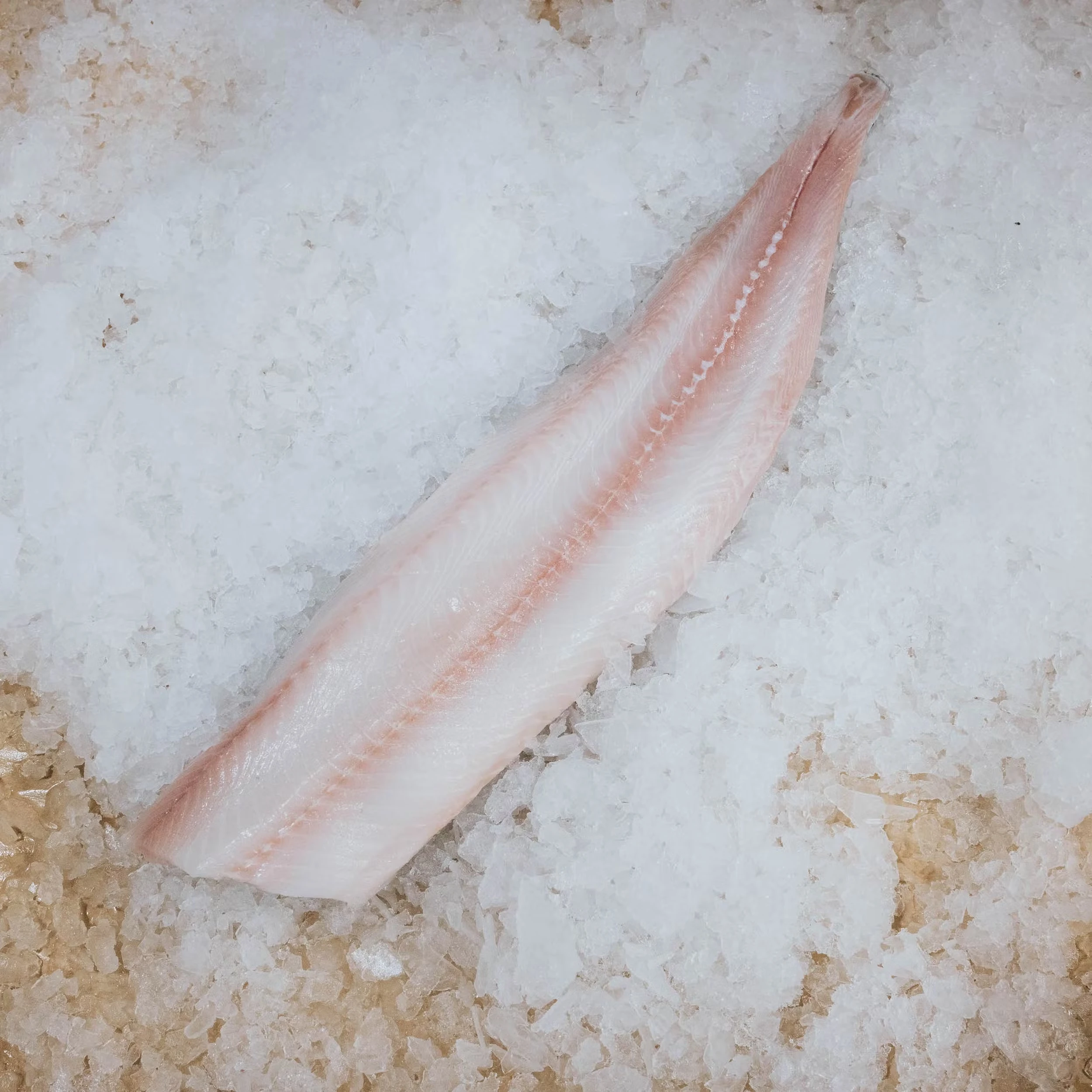 4703-fishmonger-favorites-1.jpg