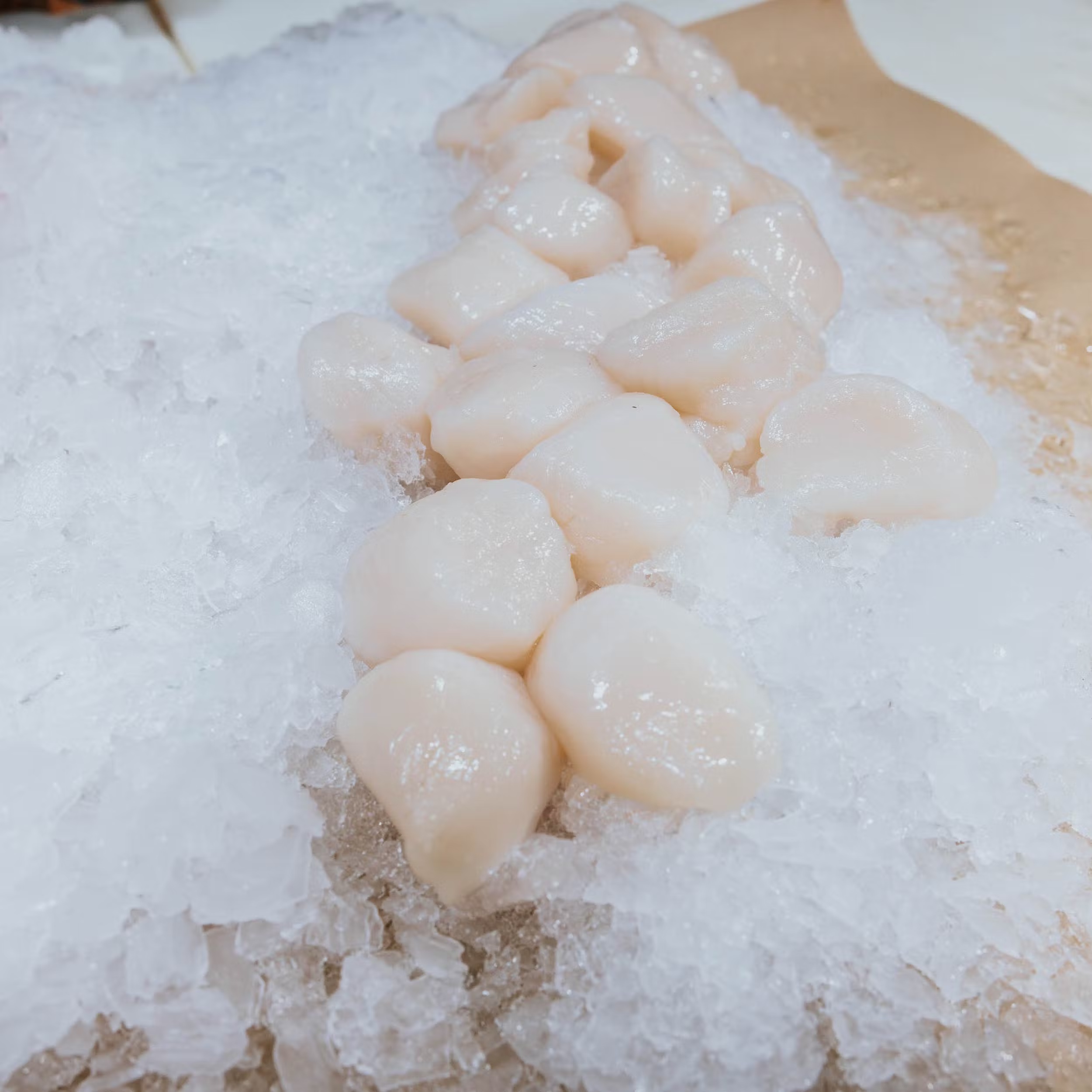 4703-fishmonger-favorites-1.jpg