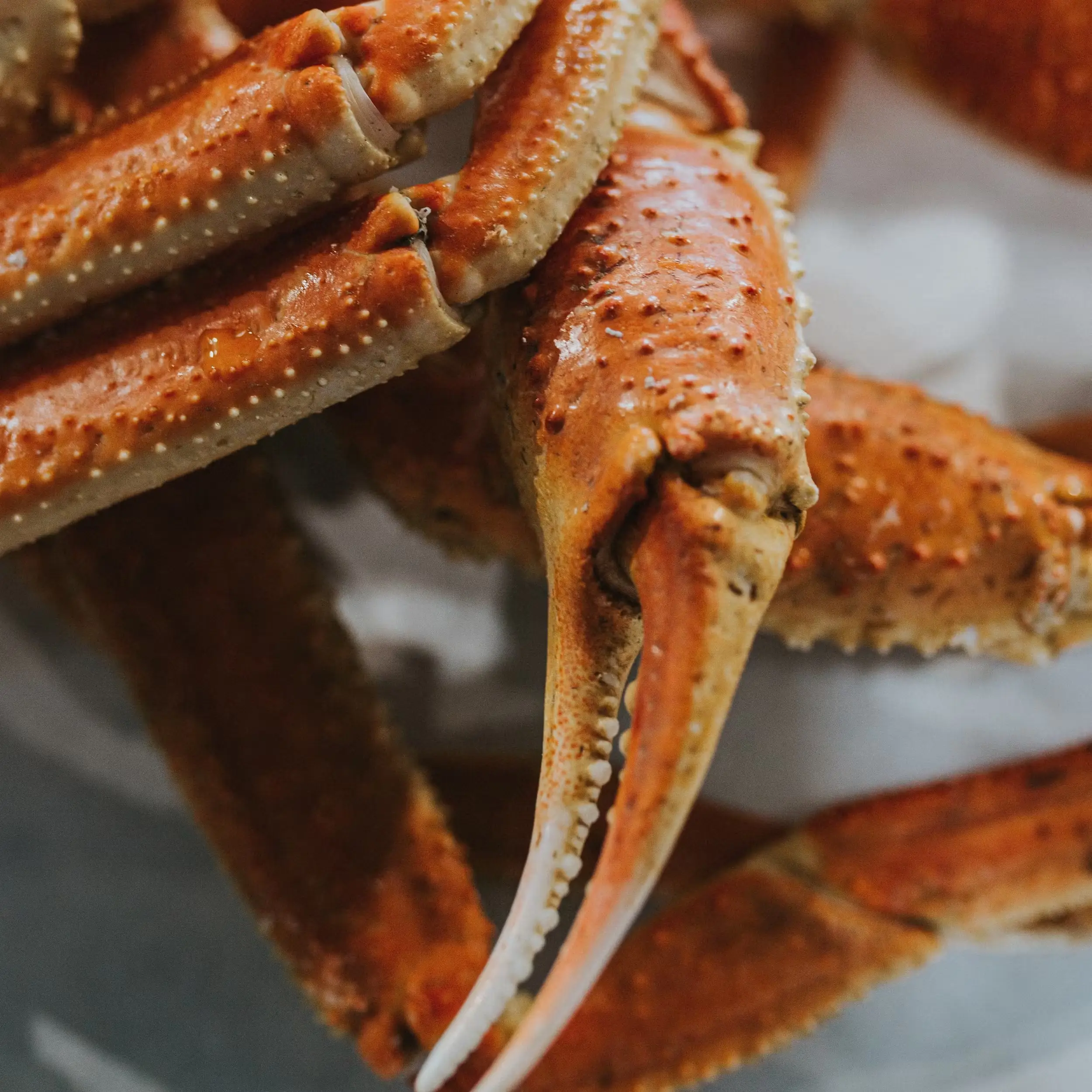 Bairdi Snow Crab - Cooked, Alaska, Wild