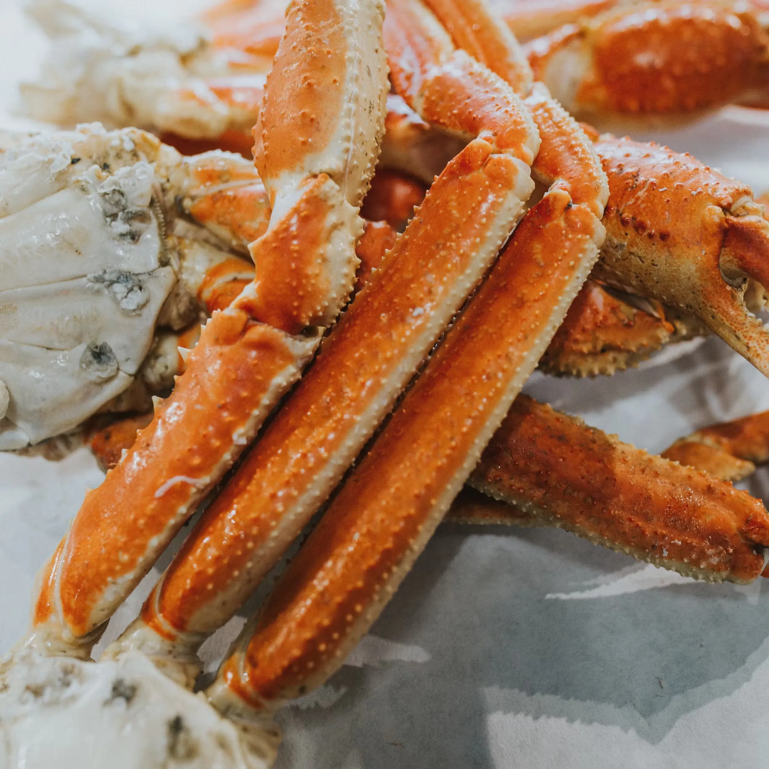 4740-bairdi-snow-crab-cooked-alaska-wild-1.webp