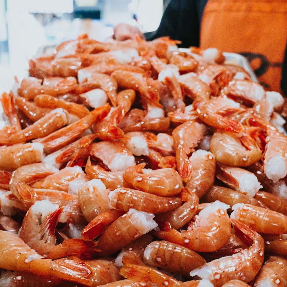 Spot Prawns - Wild, Pacific, USA, 1 lb.