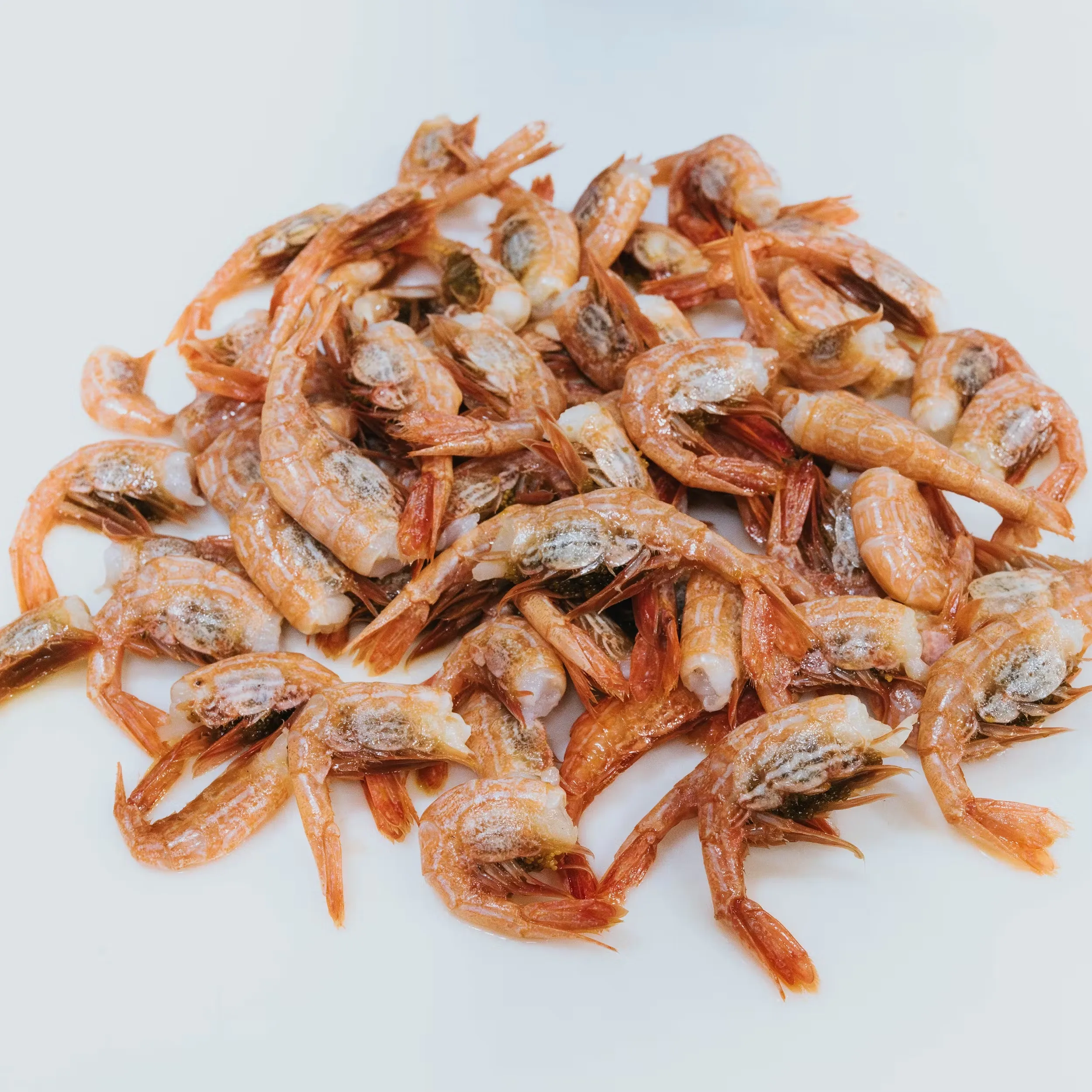 Sidestriped Shrimp - Wild, Alaskan, USA, 2 lbs.