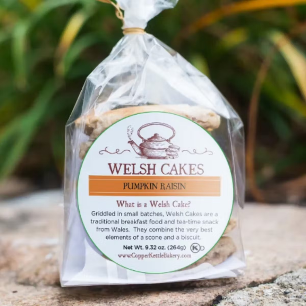 Pumpkin Raisin Welsh Cake - 3 Pack