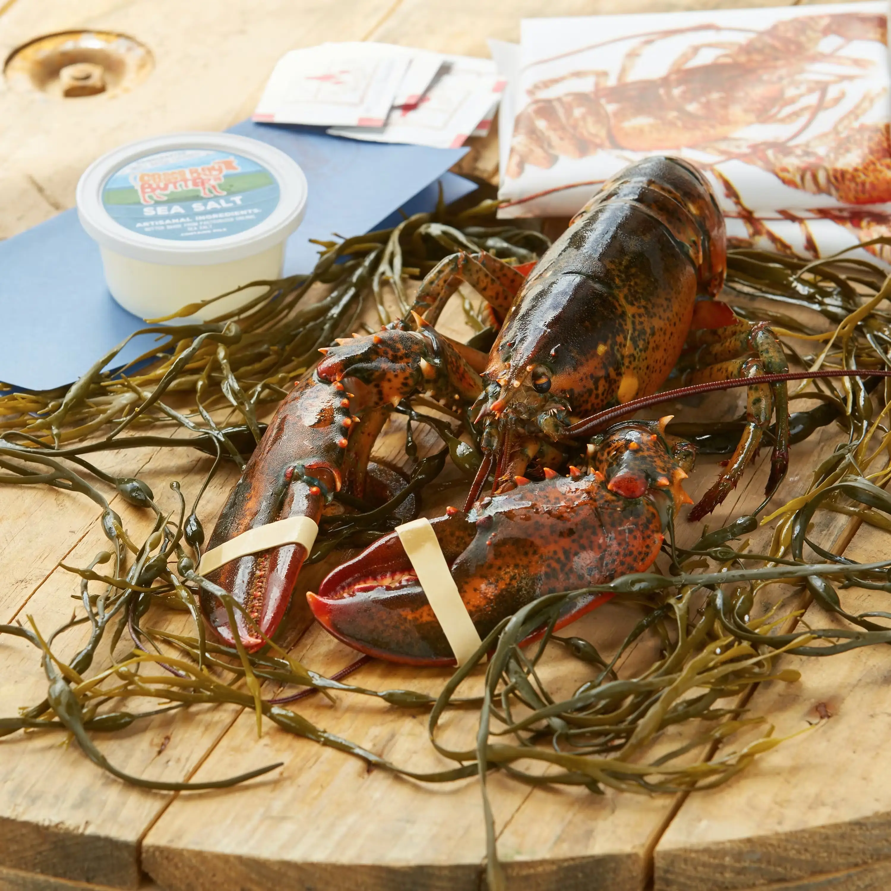 1.25 lb. Lobster