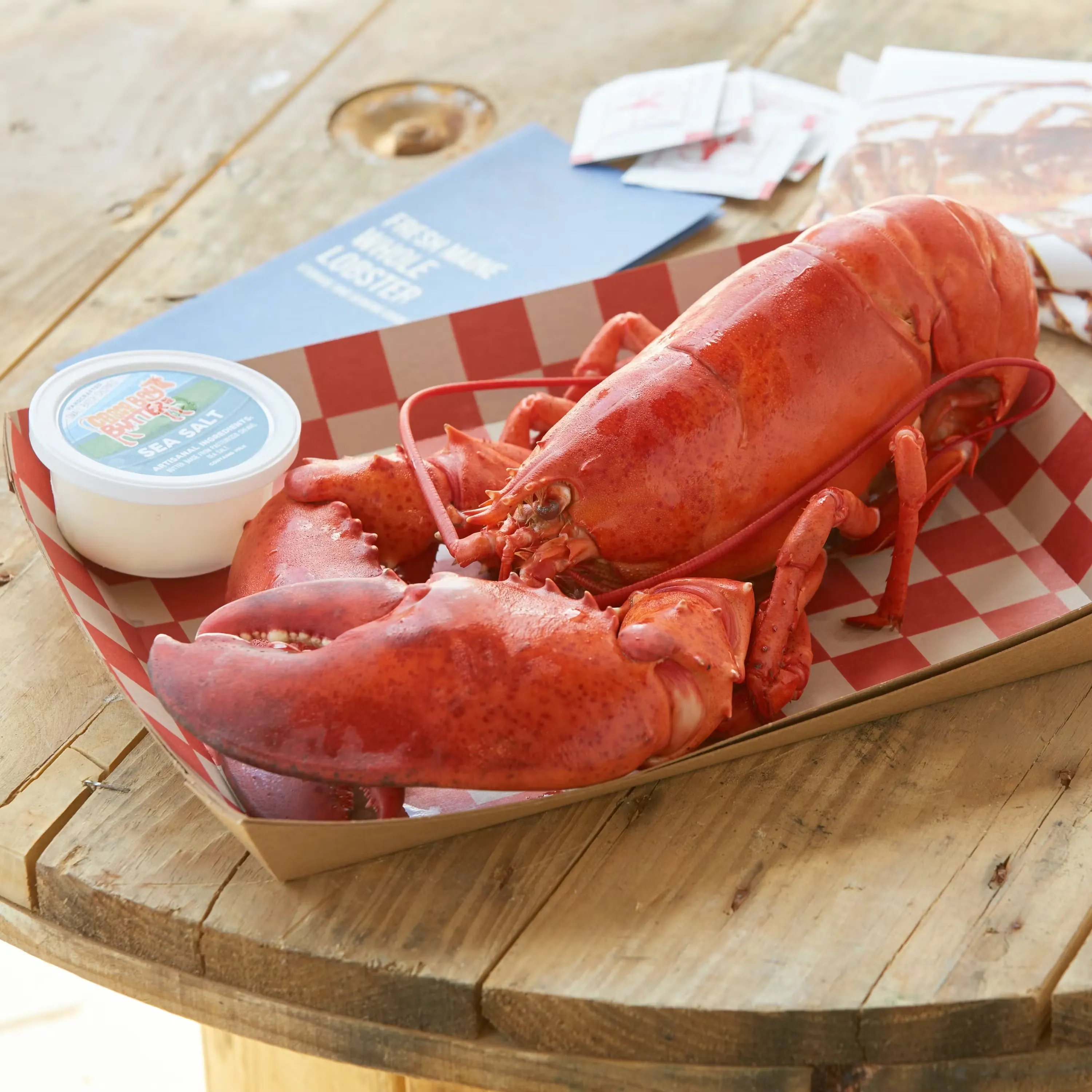 3 lb. Lobster