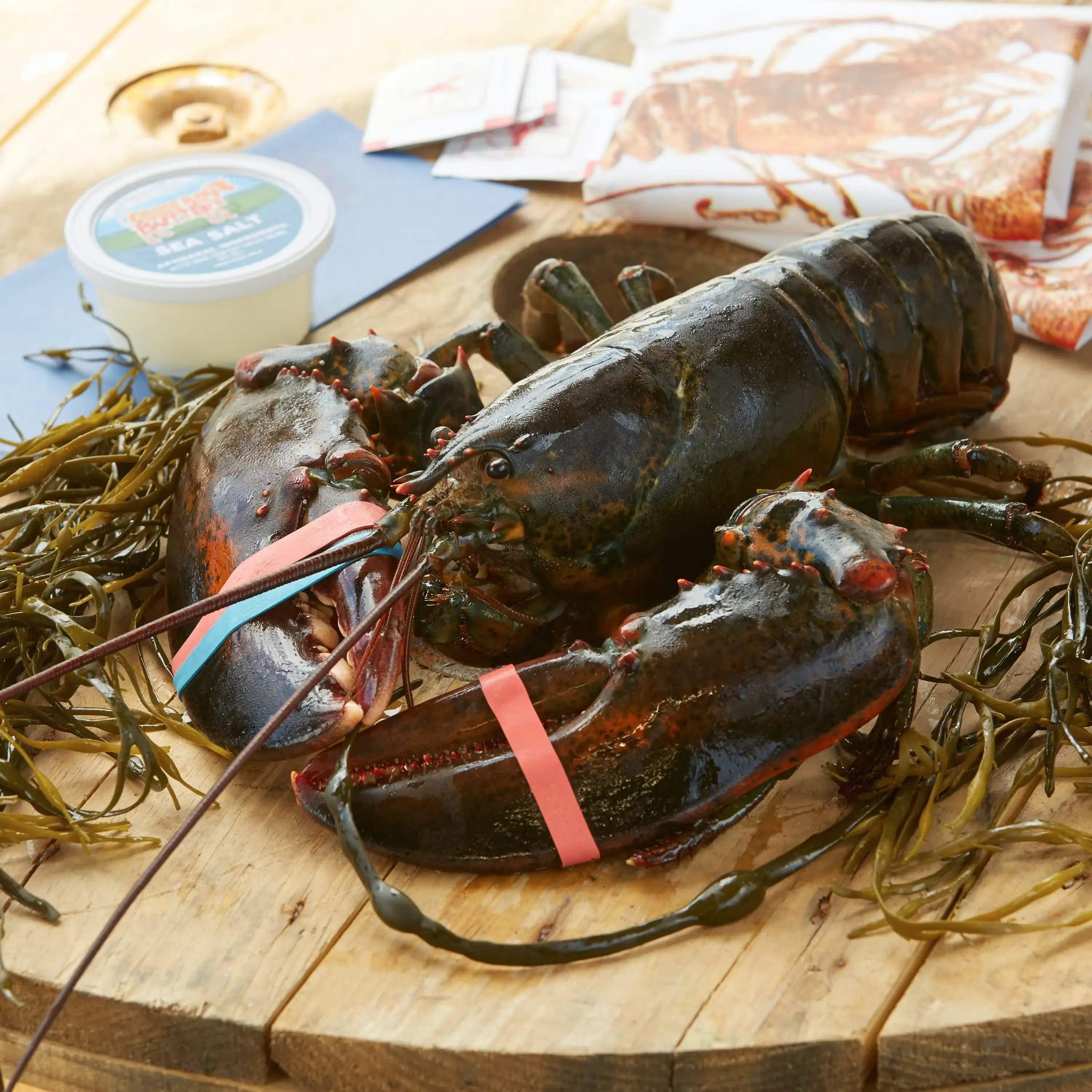 3 lb. Lobster
