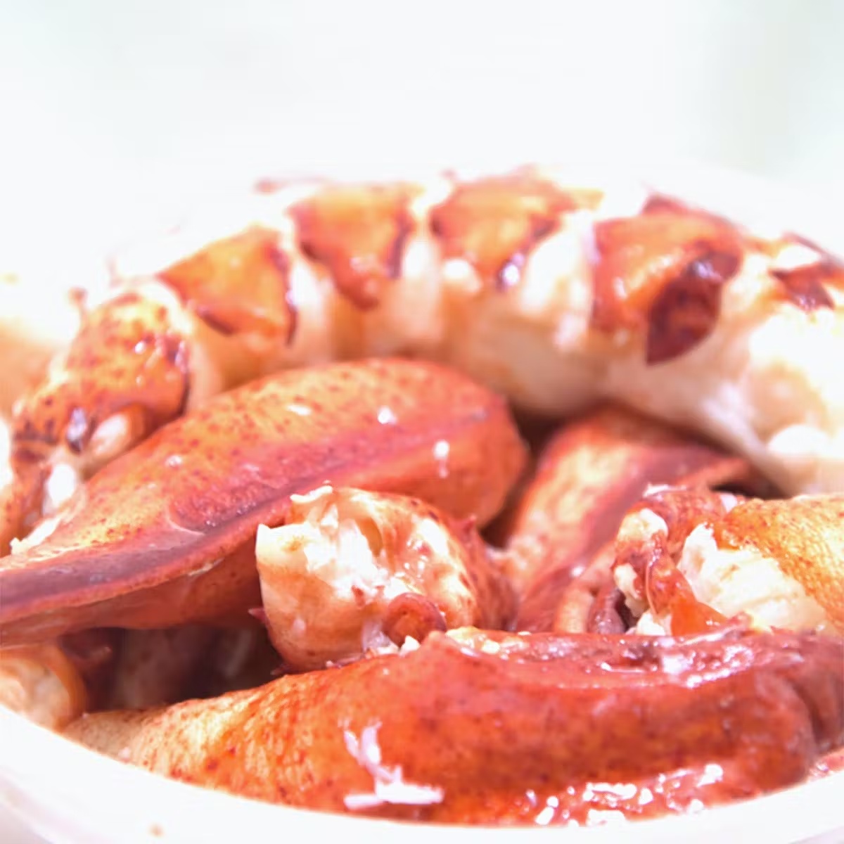 Fresh TKC Lobster Meat
