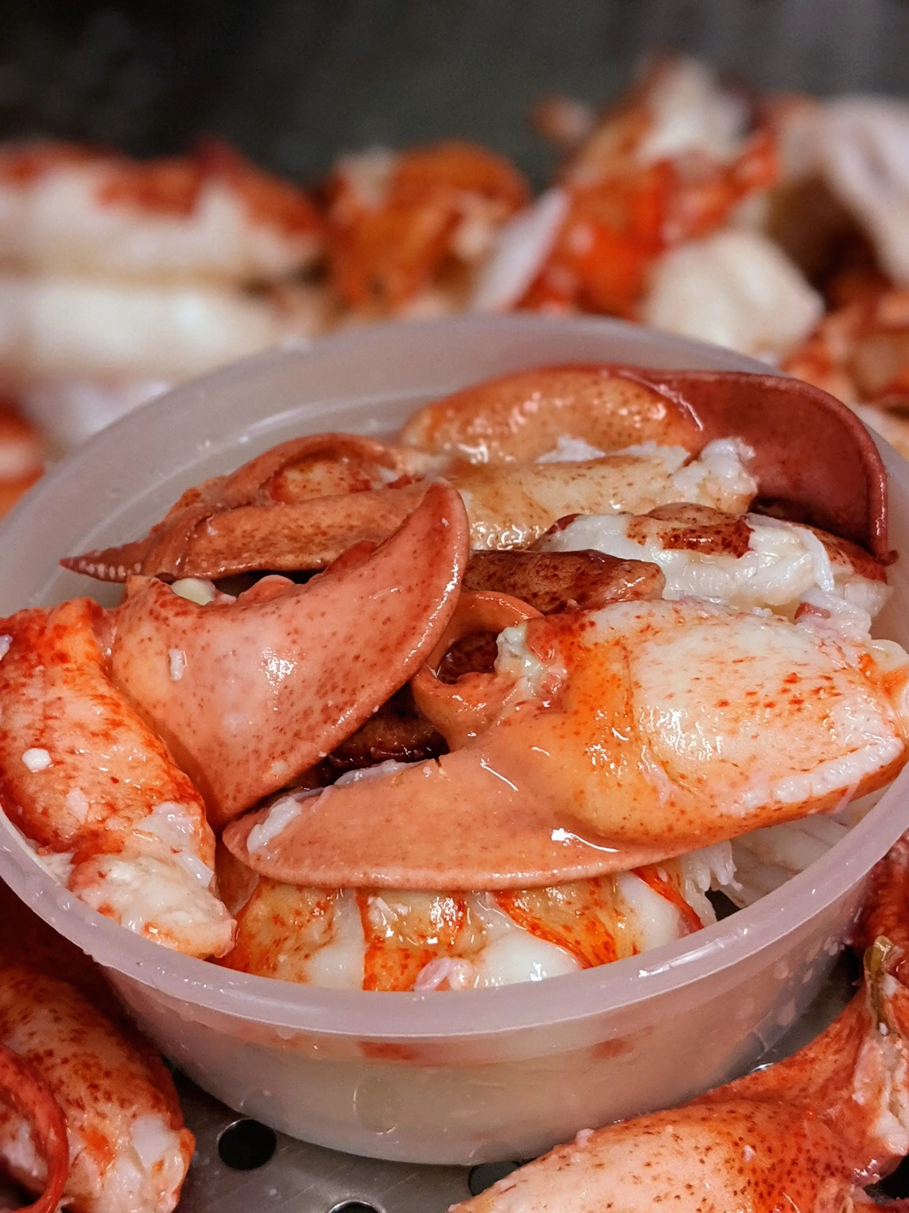 5587-fresh-tkc-lobster-meat-1.jpg