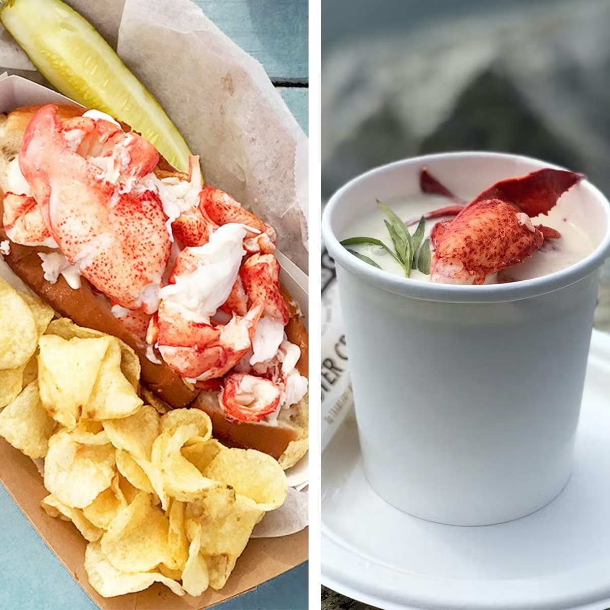 Maine Lobster Roll Kit + Lobster Stew