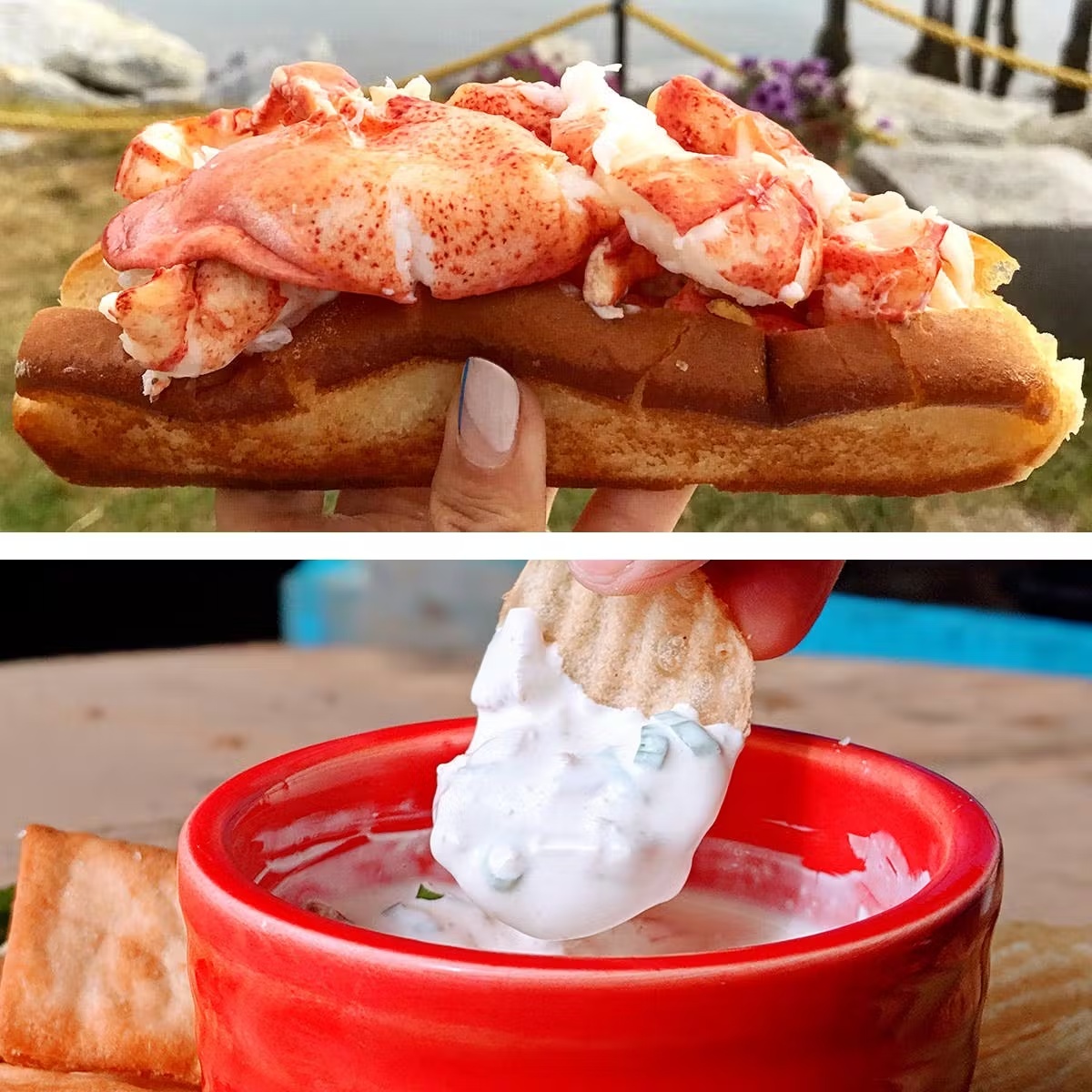 Maine Lobster Roll Kit + Clam Dip