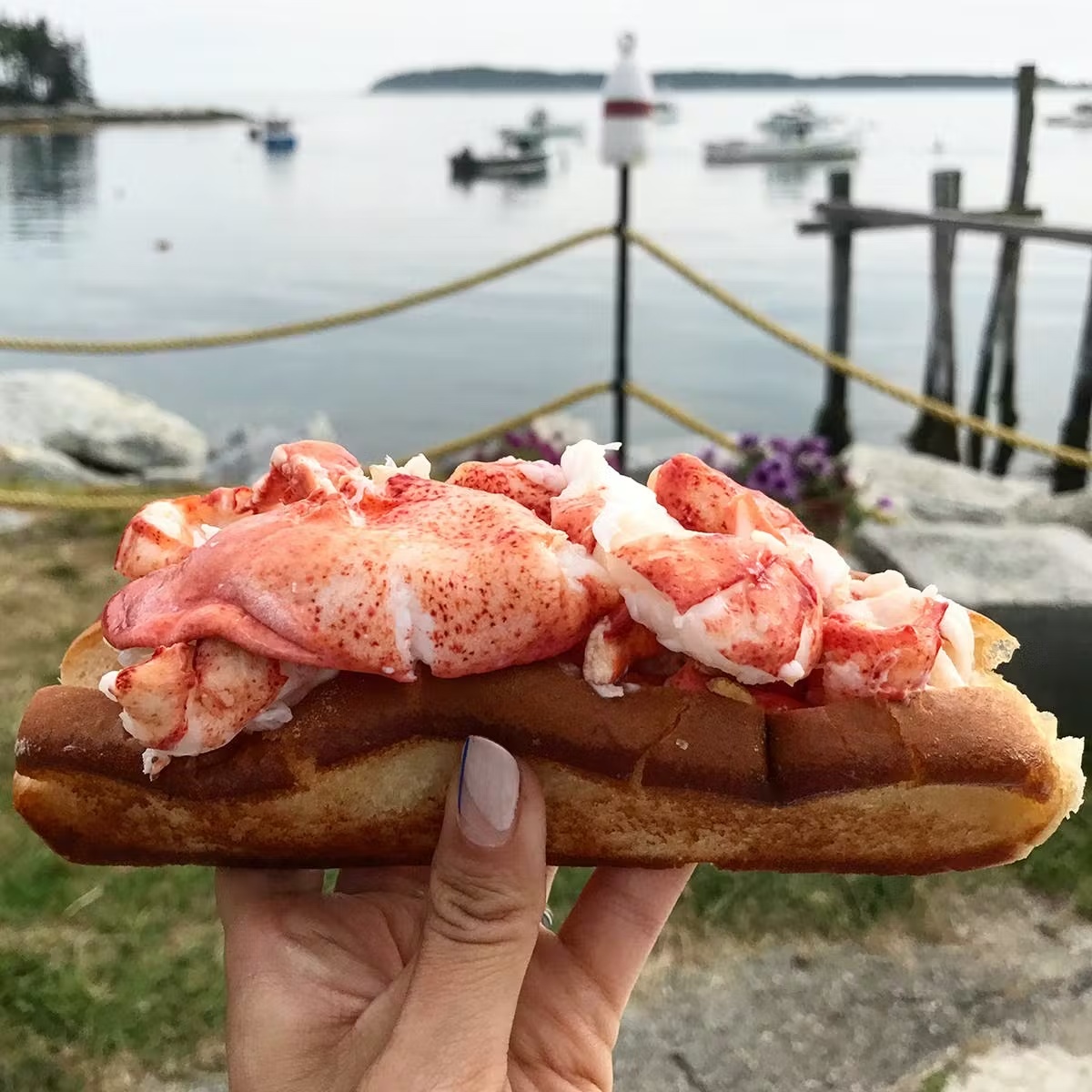 5607-maine-lobster-roll-kit-sea-salt-brownies-1.jpg