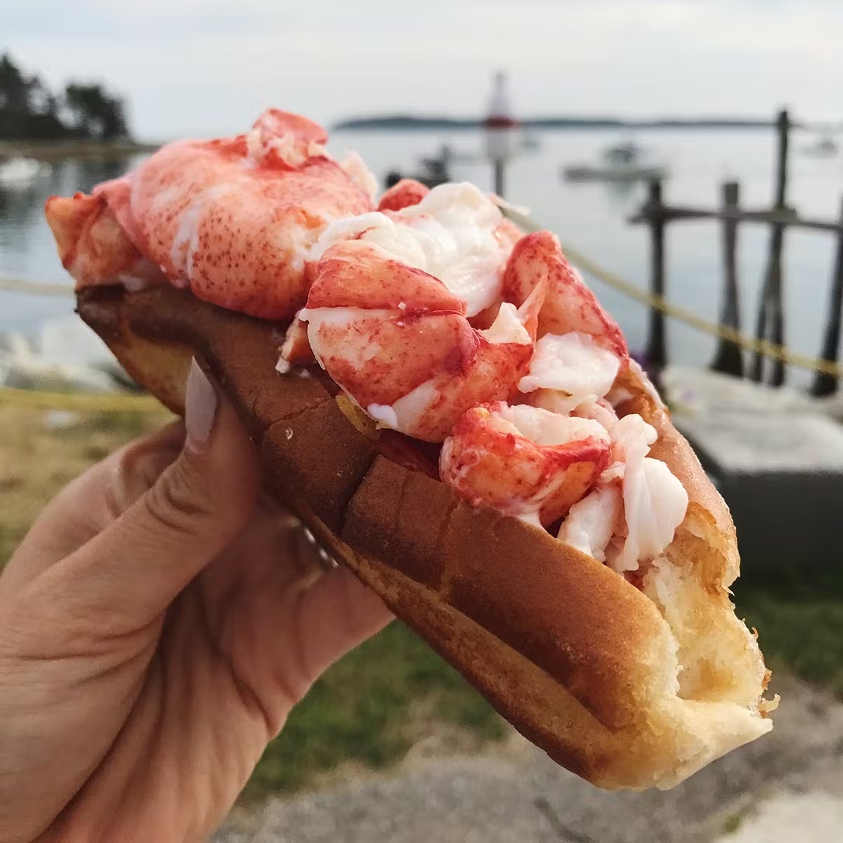 5607-maine-lobster-roll-kit-sea-salt-brownies-1.jpg