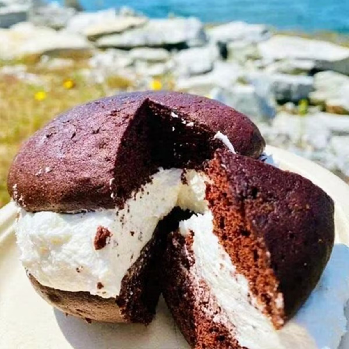 Maine Lobster Roll Kit + Jumbo Whoopie Pies